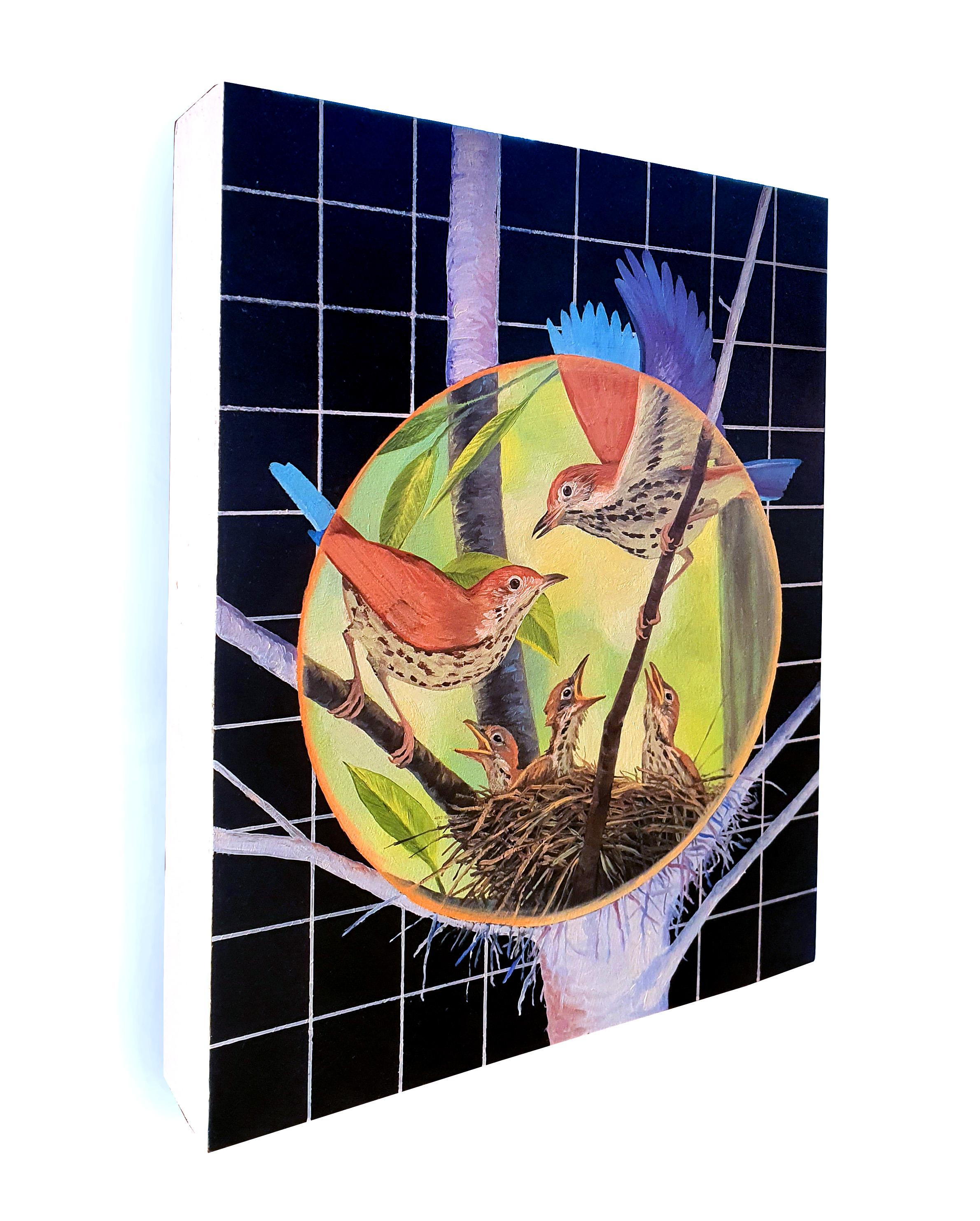 Tordo bottaccio (2019) olio su pannello, natura, uccelli selvatici, albero, nido, rami - Painting Contemporaneo di Alexis Kandra