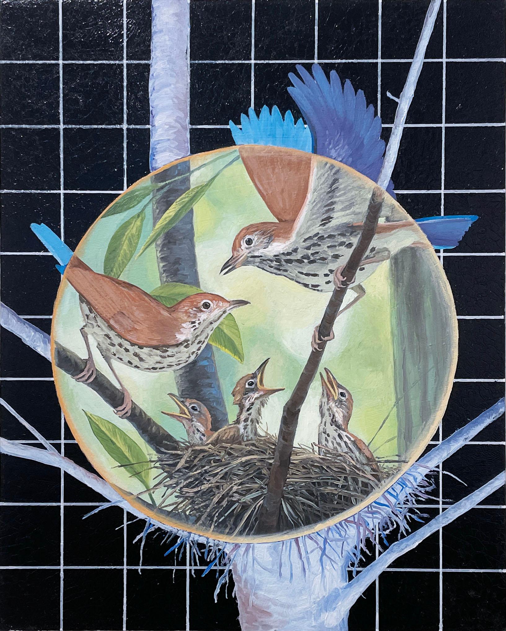 Wood Thrush (2019) oil on panel, nature, wildlife birds, tree, nest, branches