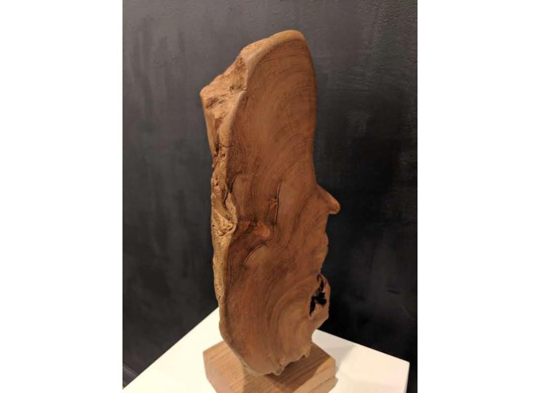 Sculpture in Teak  --  Aggayu Sola - Brown Abstract Sculpture by Alexis Mendoza