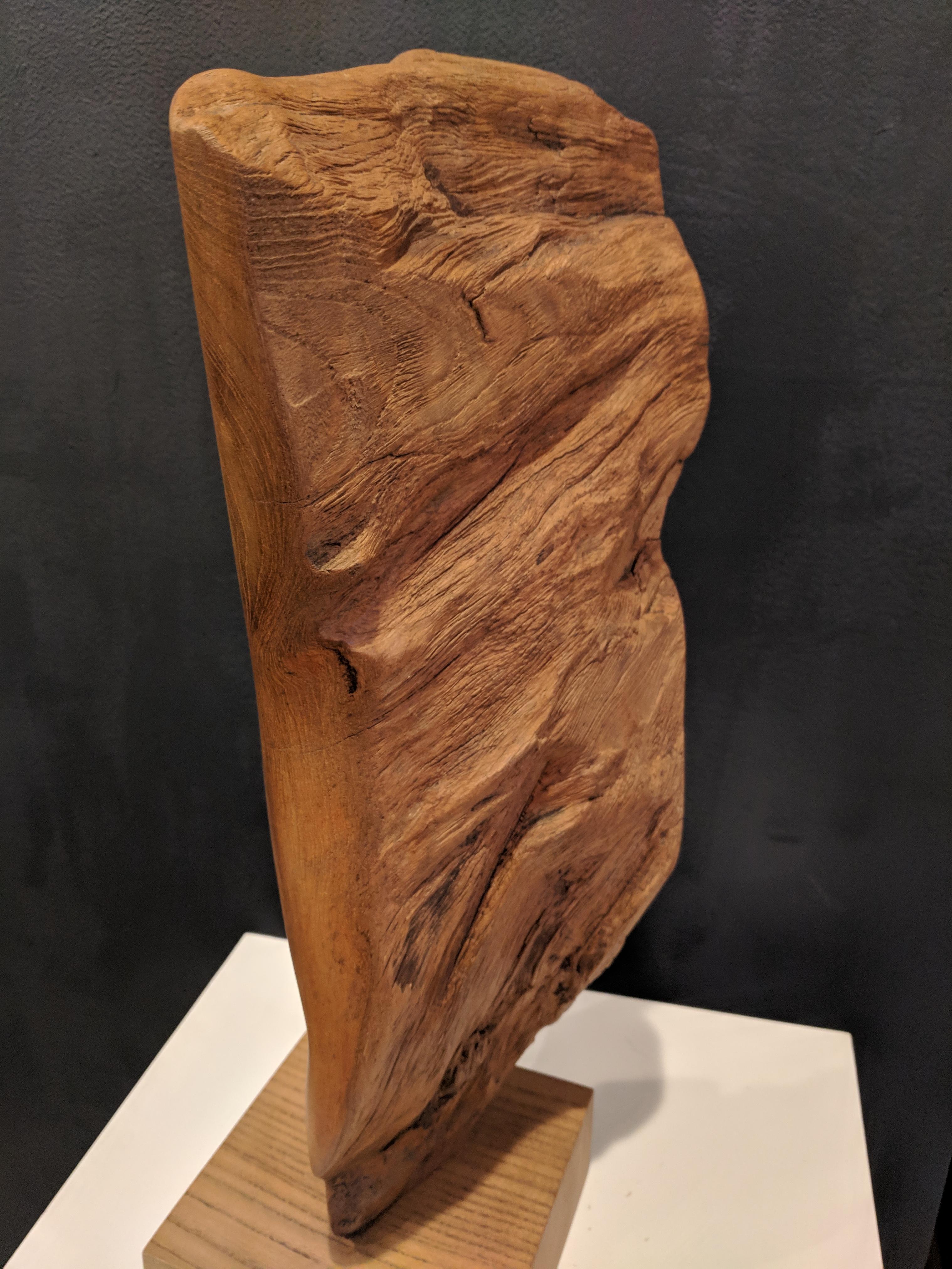 This abstract wooden sculpture is made from African Teak root on an English Windsor base. This is an organic piece in caramel colors and a variety of textures. The sculpture is a stunning and sophisticated piece, sure to draw attention.

Since