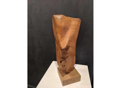 Sculpture in Teak  --  Aggayu Sola