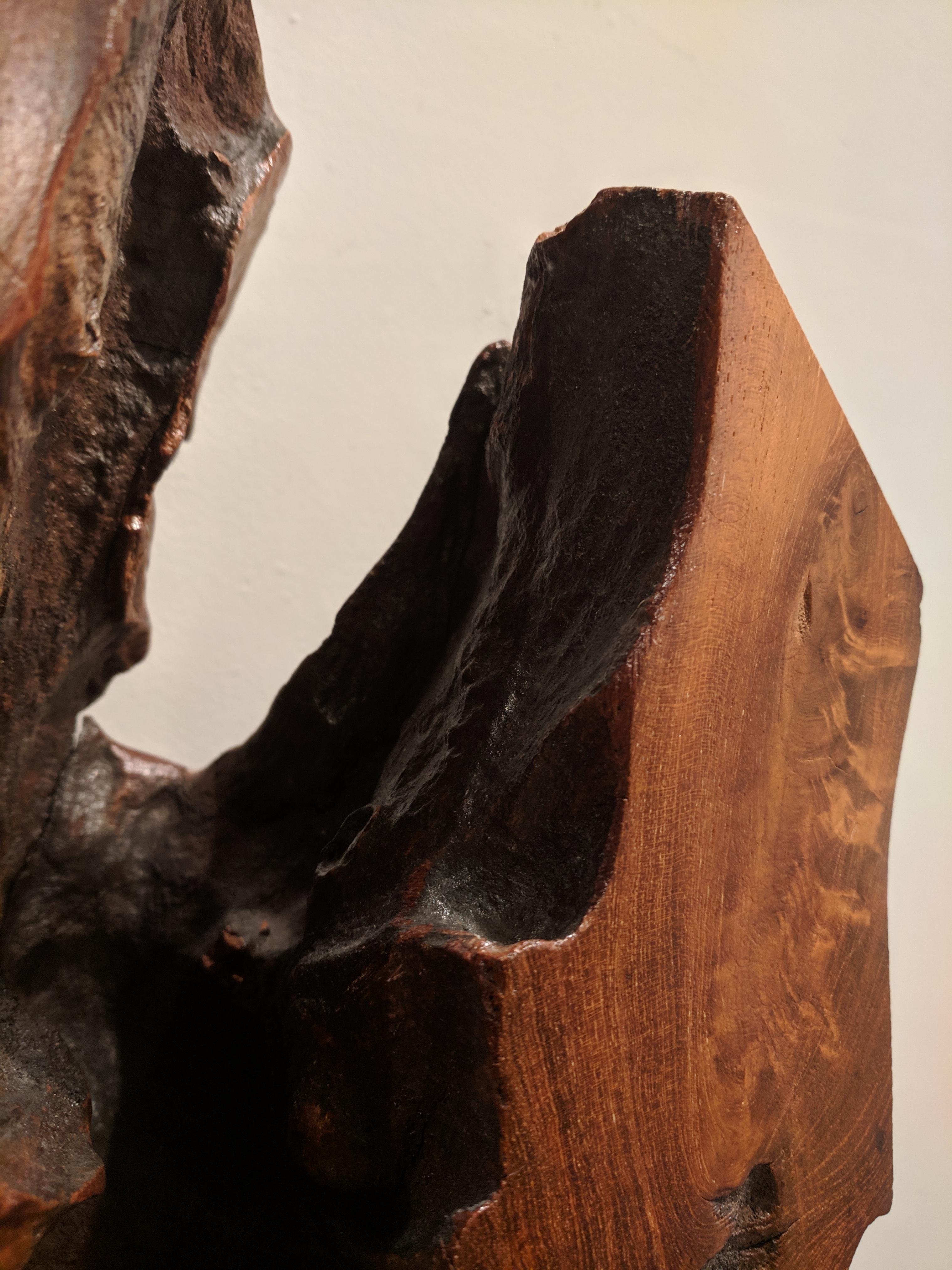 Escultura orgánica de madera -- Yemaya - Art Abstracto de Alexis Mendoza