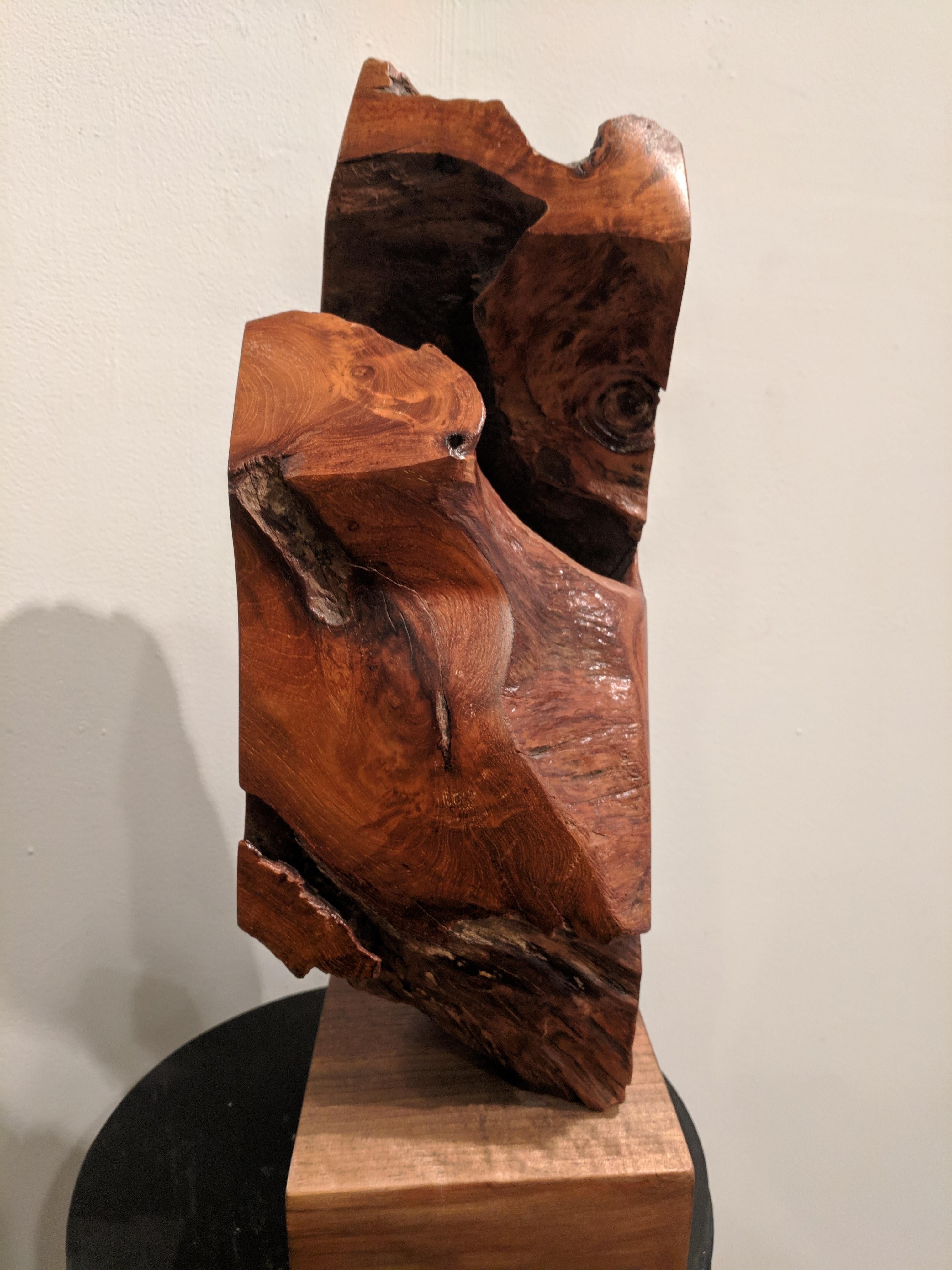 Sculpture en bois organique - Yemaya en vente 1