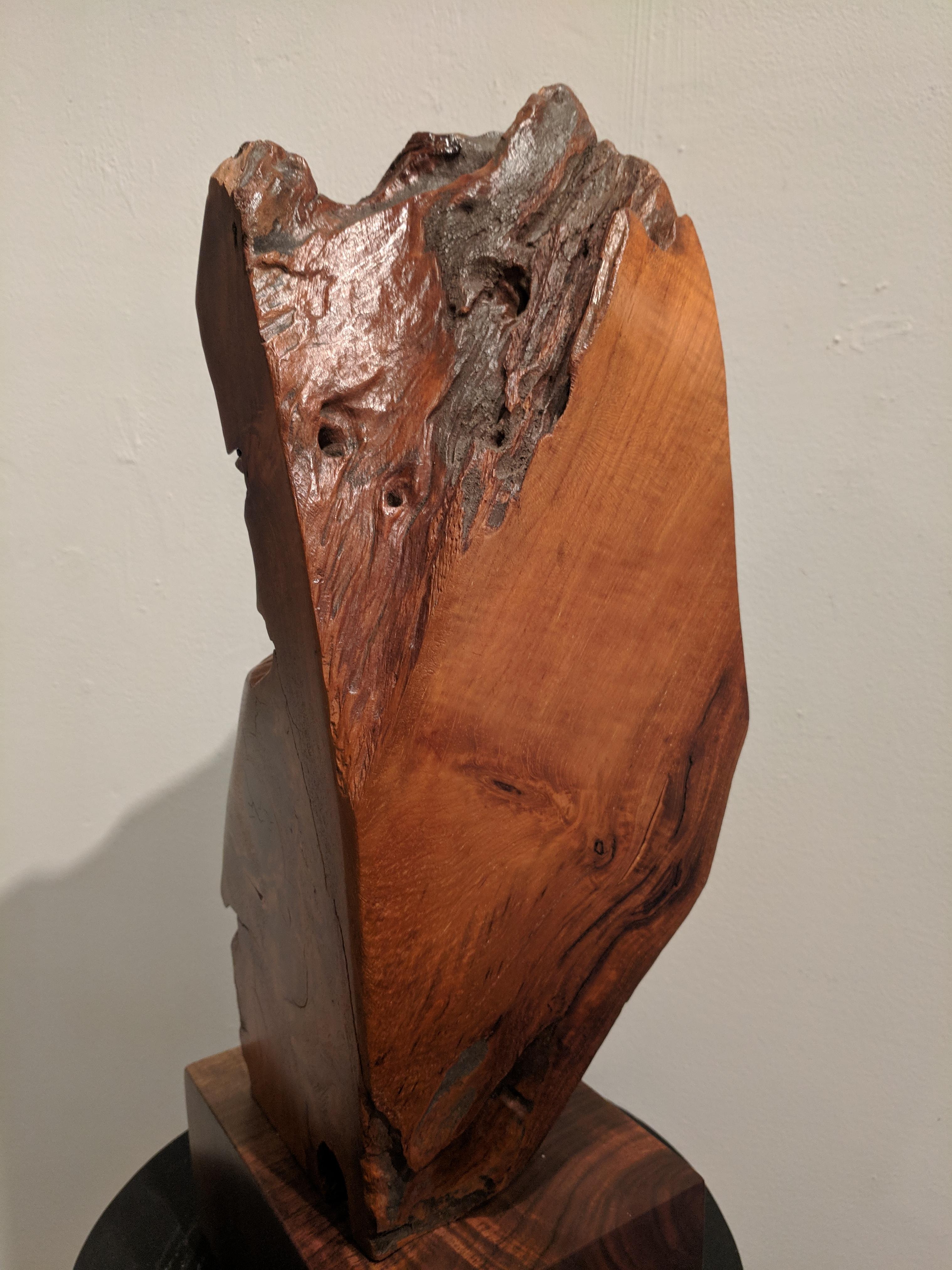 This abstract wooden sculpture is made from African Teak root on a Claro Walnut base. This is an organic piece with deep brown shadings and varying textures. The sculpture is a stunning and sophisticated piece, sure to draw attention.

Since