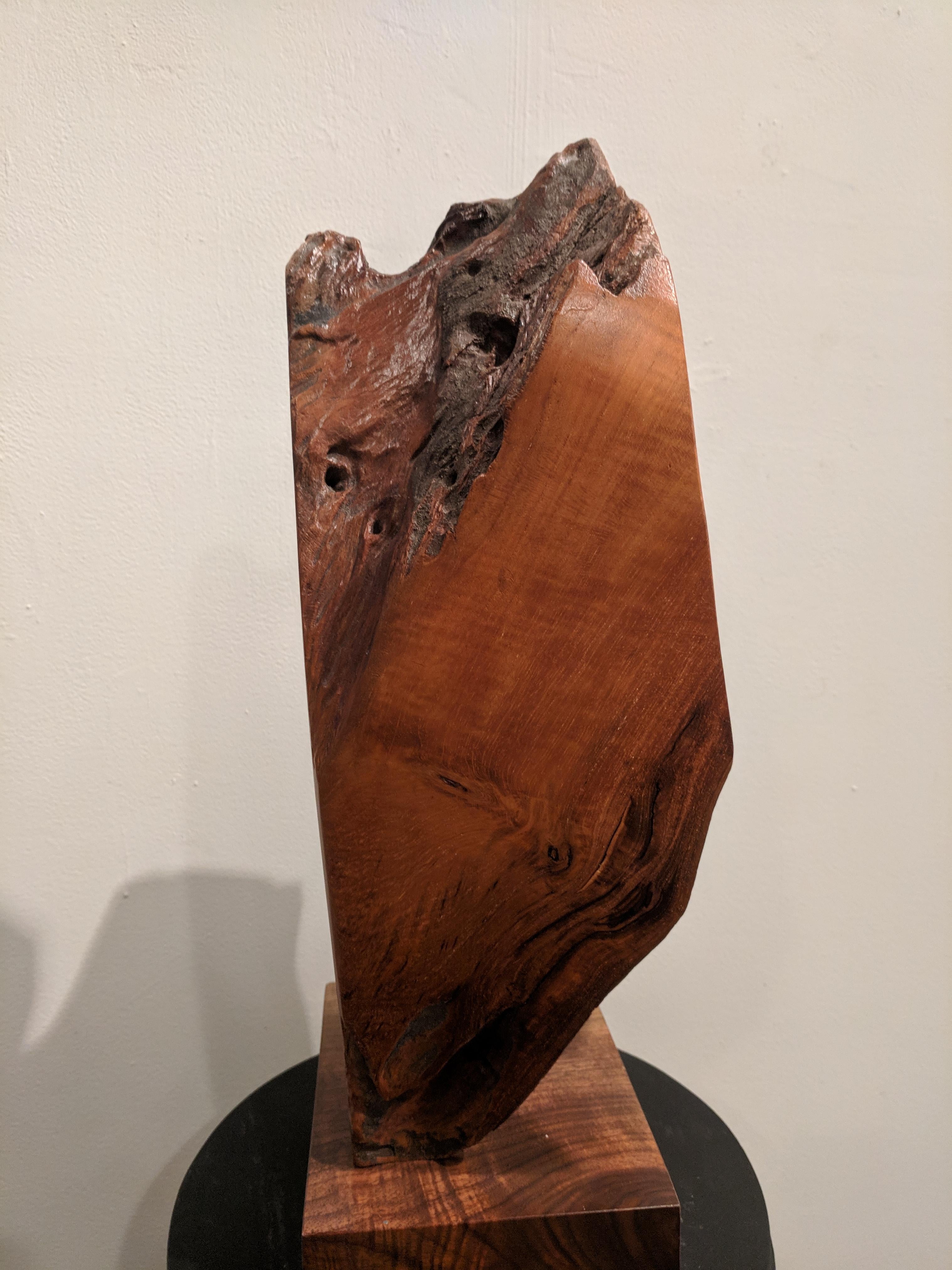 Organic Wooden Sculpture -- Yemaya For Sale 2