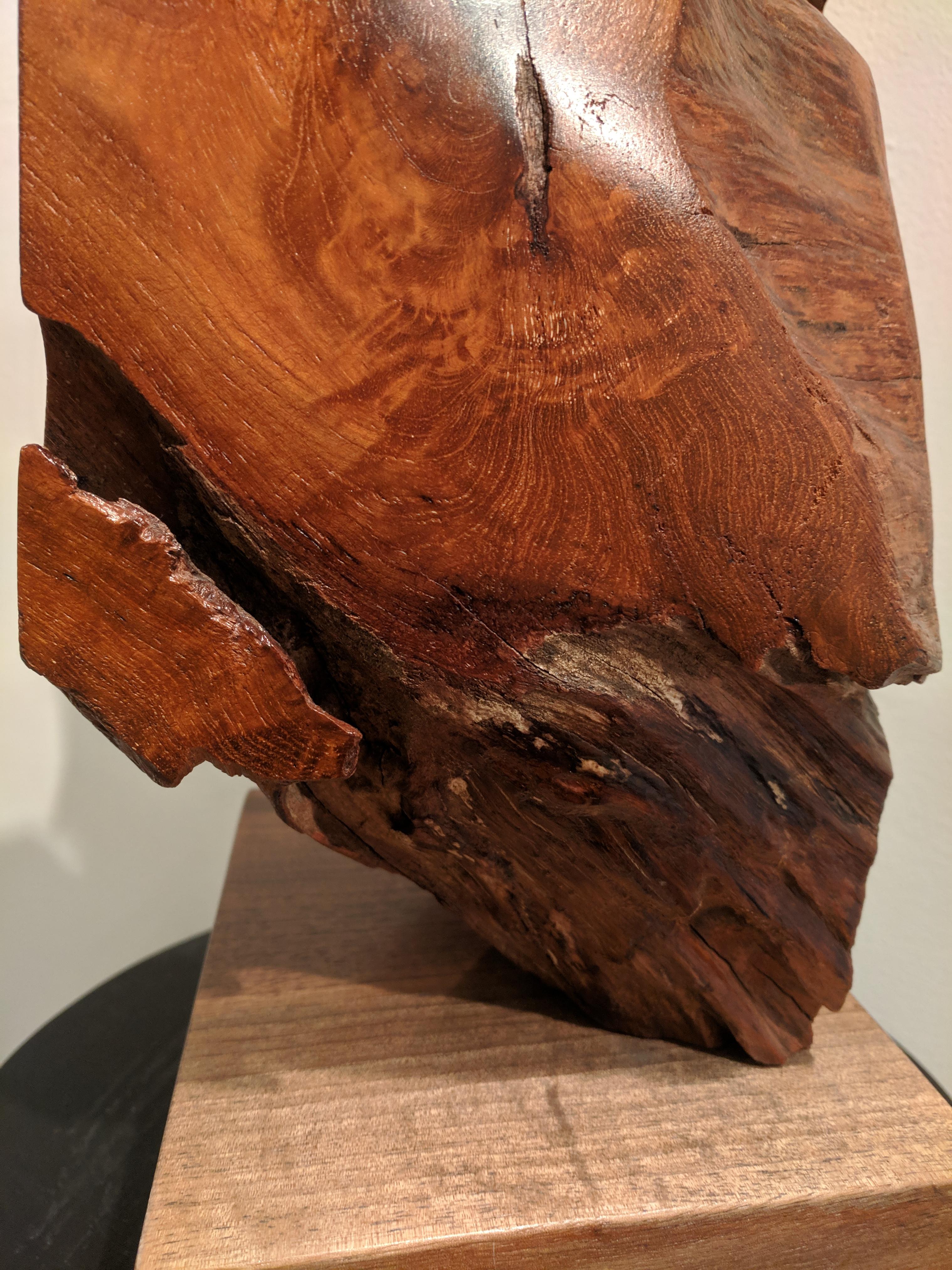 Sculpture en bois organique - Yemaya en vente 6