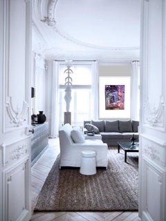 26.5x21"  Ink on Mylar - Daylight