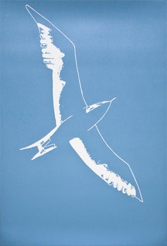 Seagull
