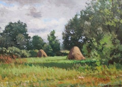 Young farmer's meadow,  oil/canvas, 50x70 cm
