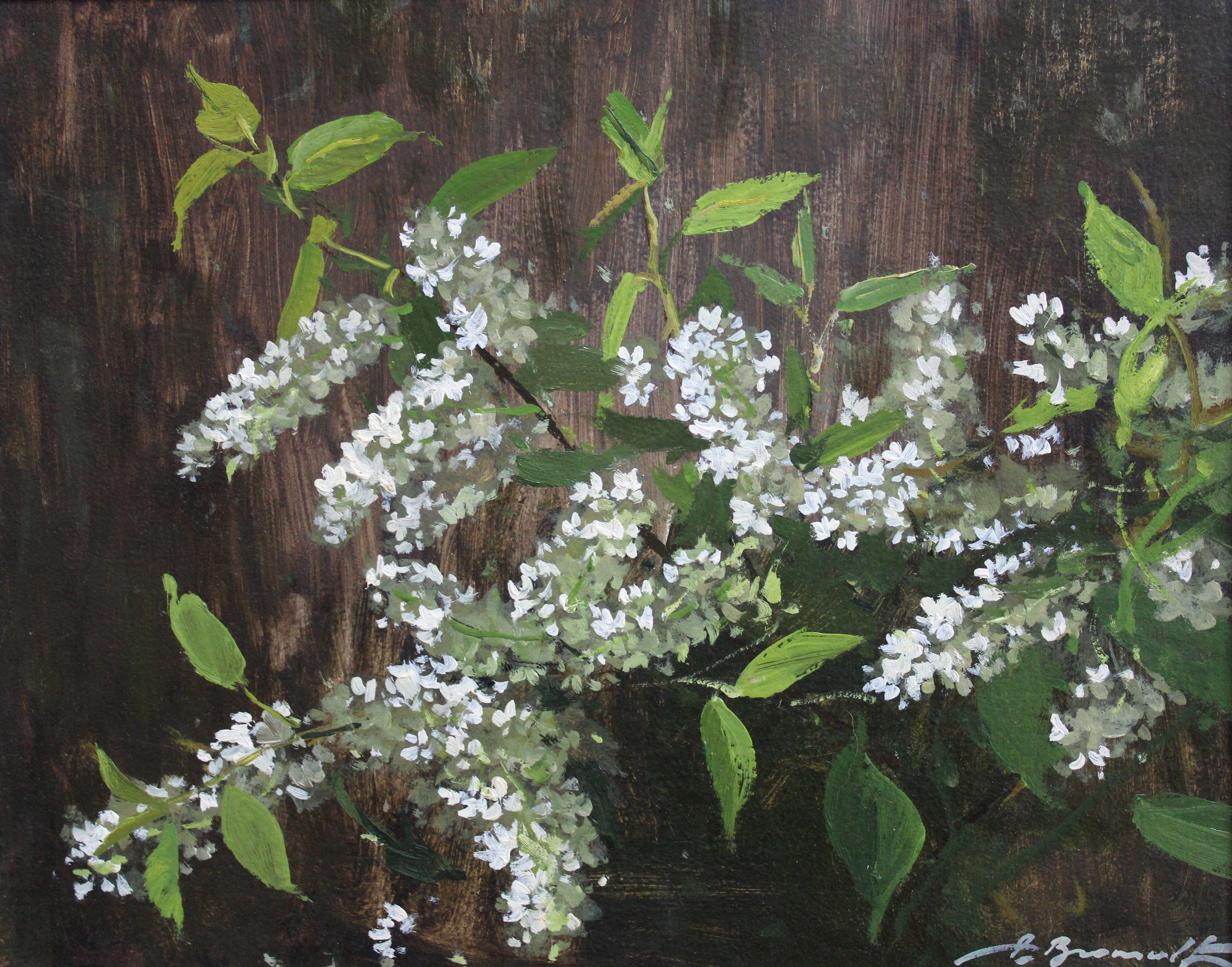 Alfejs Bromults Still-Life Painting - Bird cherry. Oil on cardboard, 40x50 cm