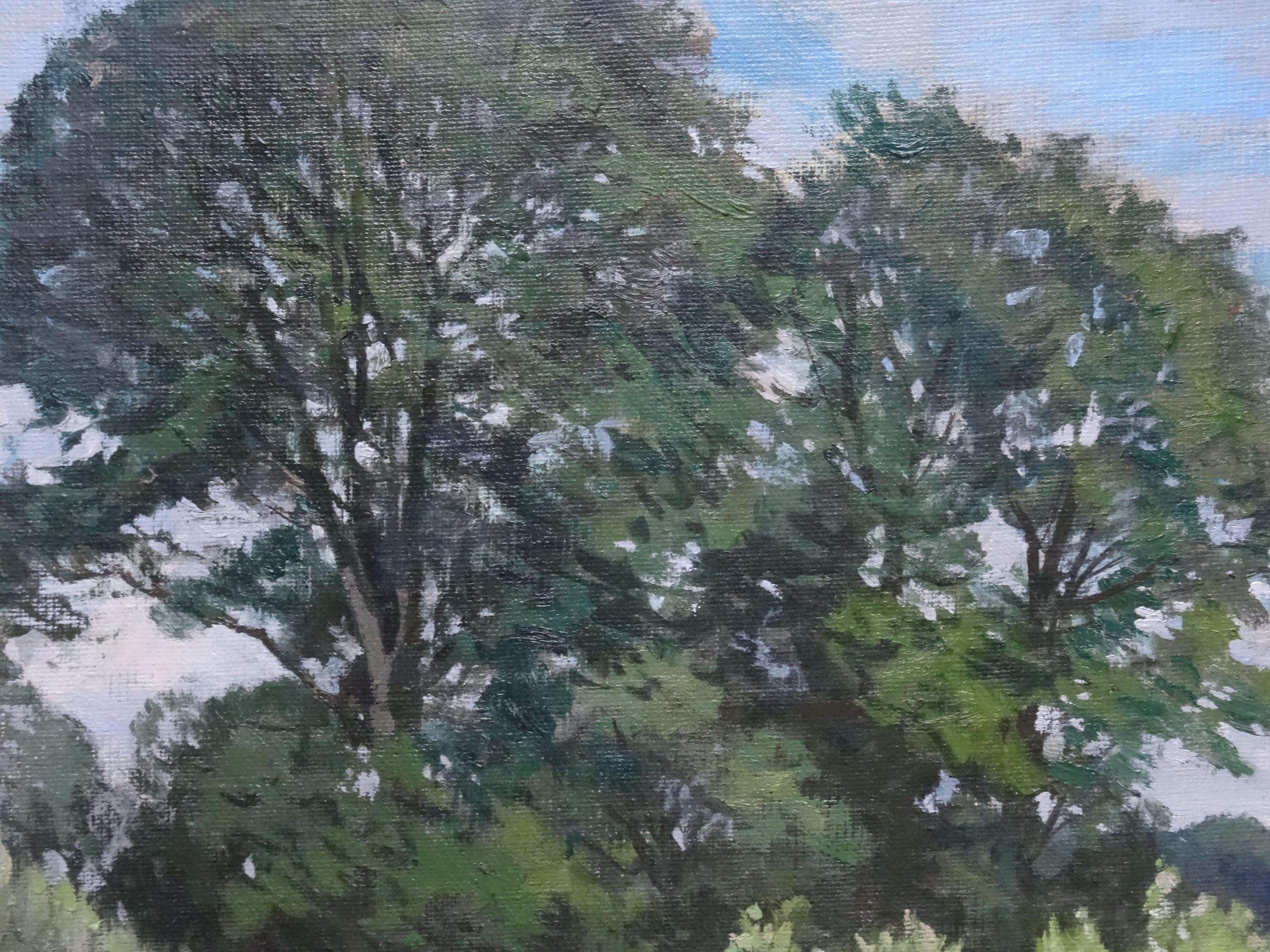 In the heyday of Sommer. 1988, Öl auf Leinwand und Karton, 50x63, 5 cm (Grau), Landscape Art, von Alfejs Bromults