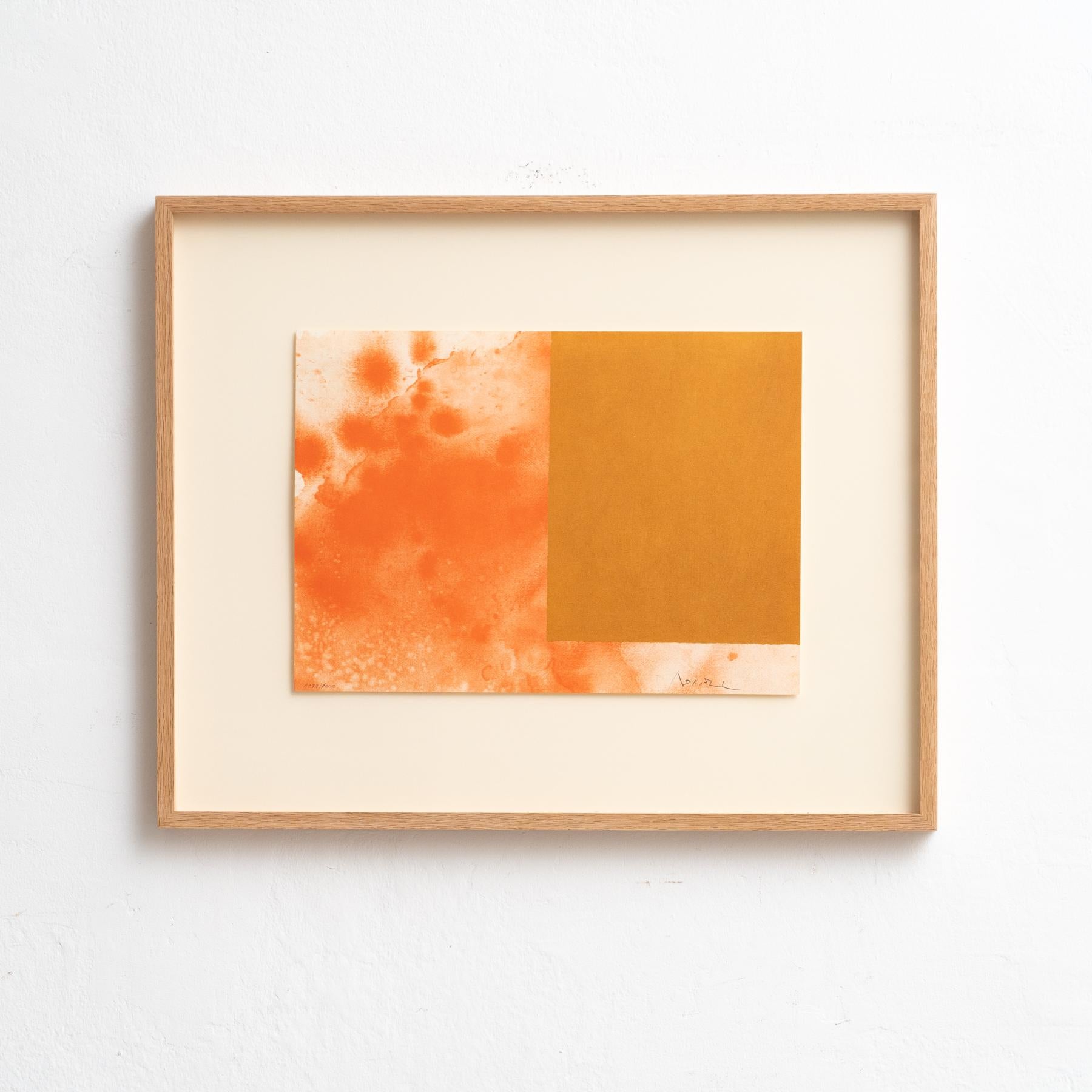 Begeben Sie sich auf eine visuelle Reise durch die abstrakte Welt mit Alfons Borrells atemberaubender Lithografie 