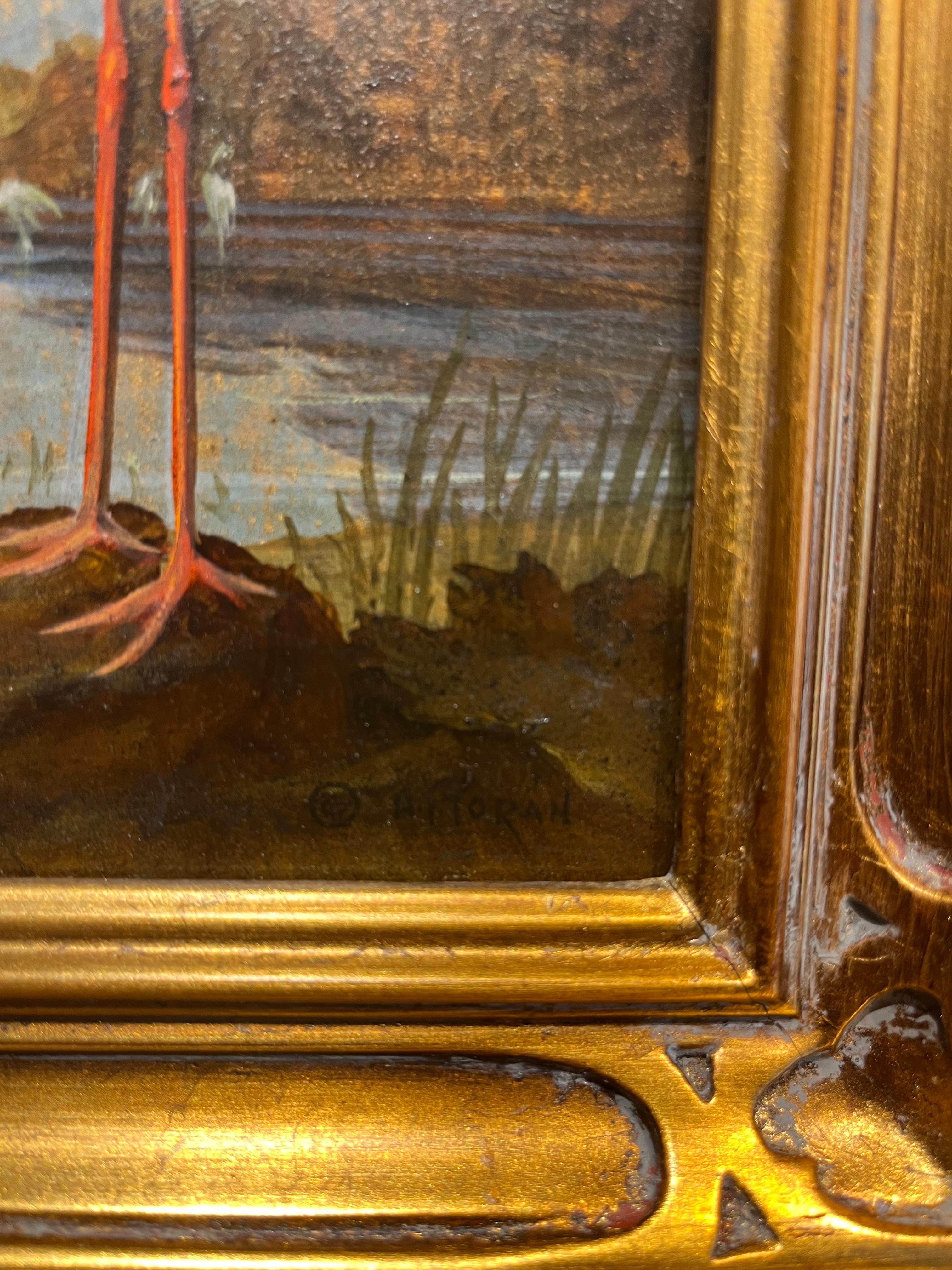 Flamants 2