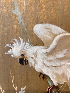 Oil Cockatoo Bird Portrait
