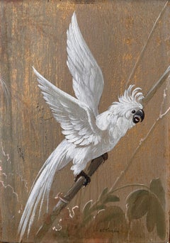 Antique Oil Painting of Cockatoo Bird on Branch