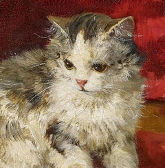 Still life with cats