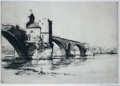 The Saint-Bénézet Bridge in Avignon / - The monumentality of decay -