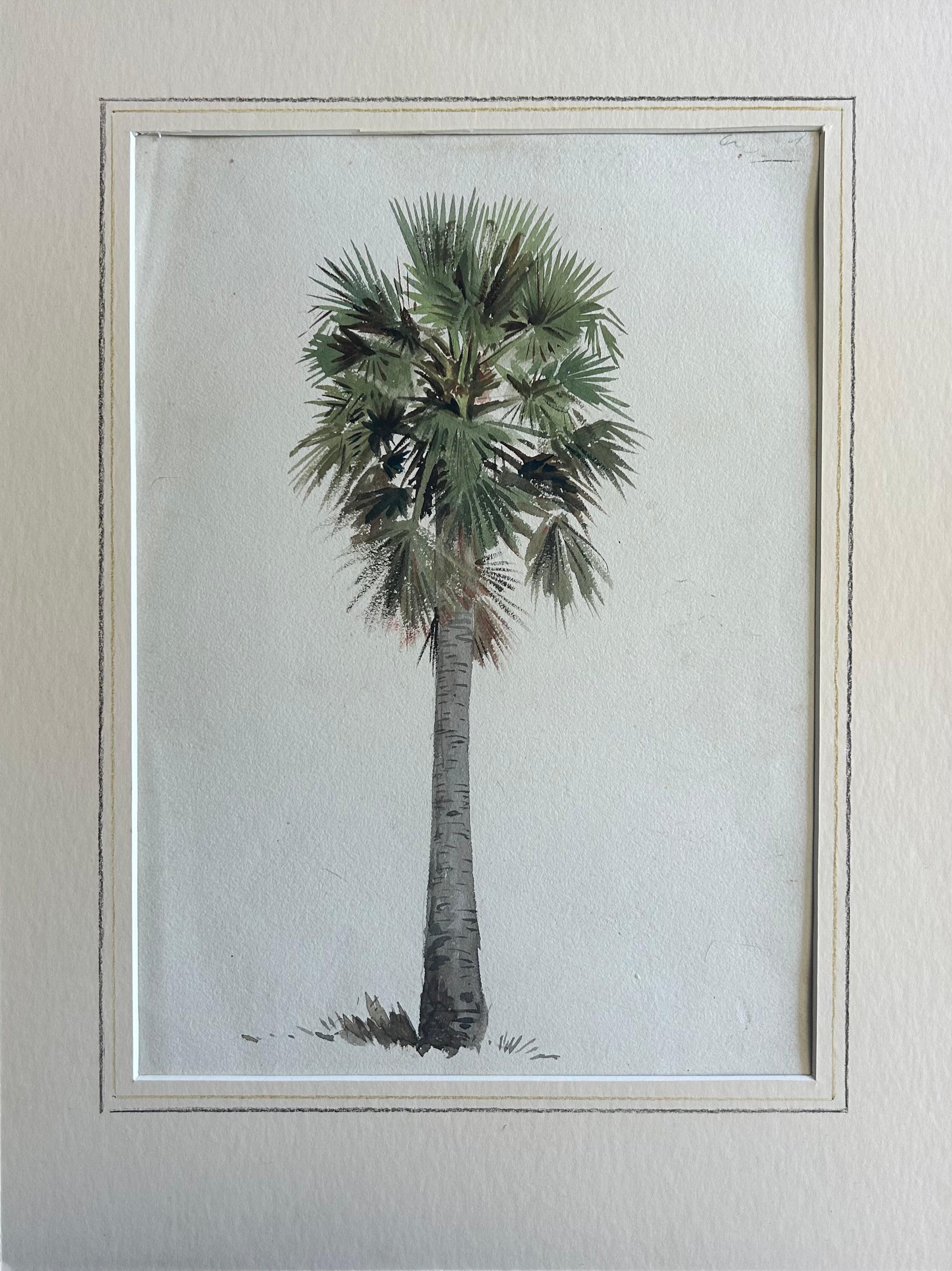 India 19th c British Landscape Listed Artist Alfred Crowdy Lovett Botanical Palm For Sale 7