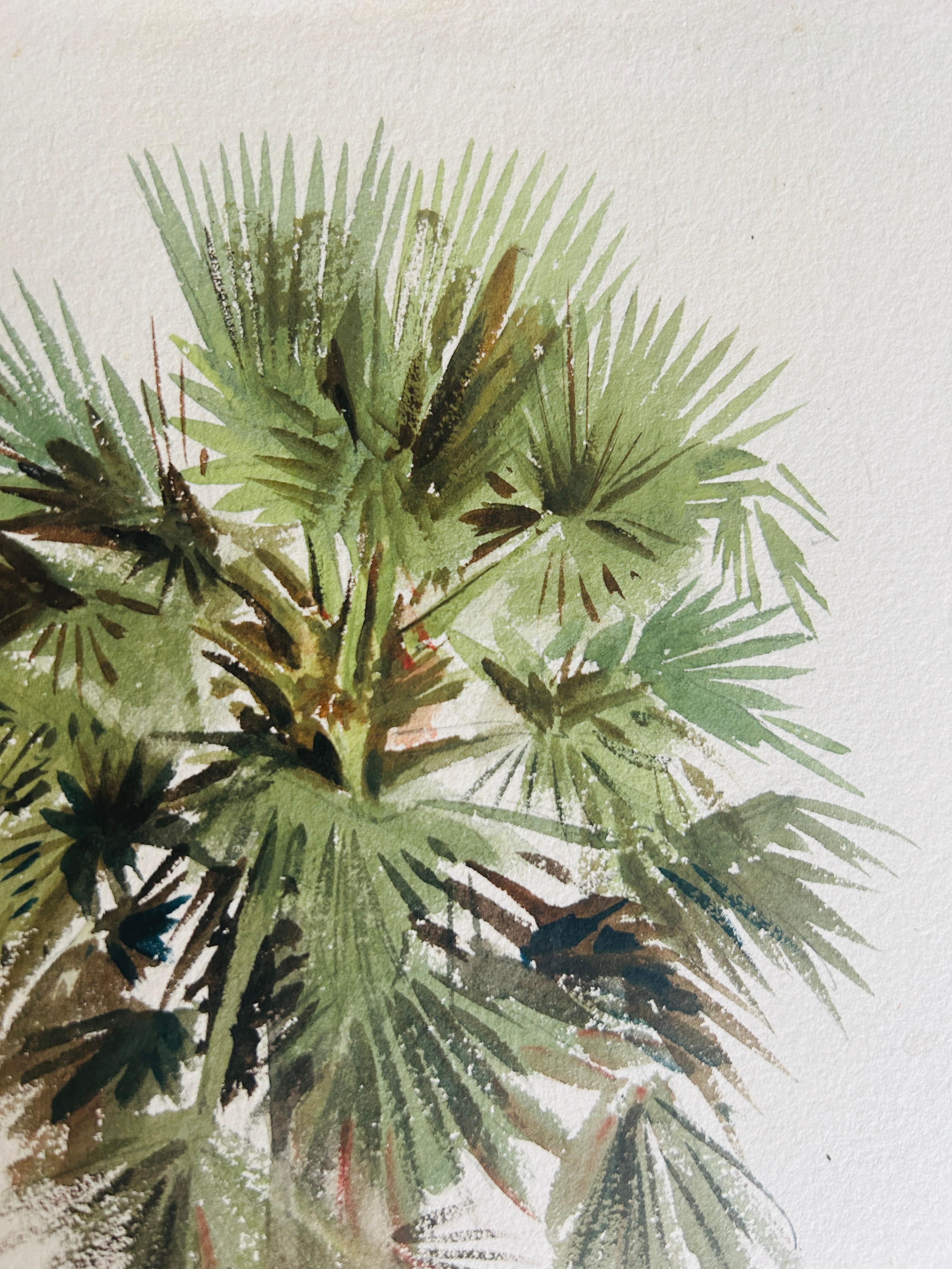 India 19th c British Landscape Listed Artist Alfred Crowdy Lovett Botanical Palm For Sale 8