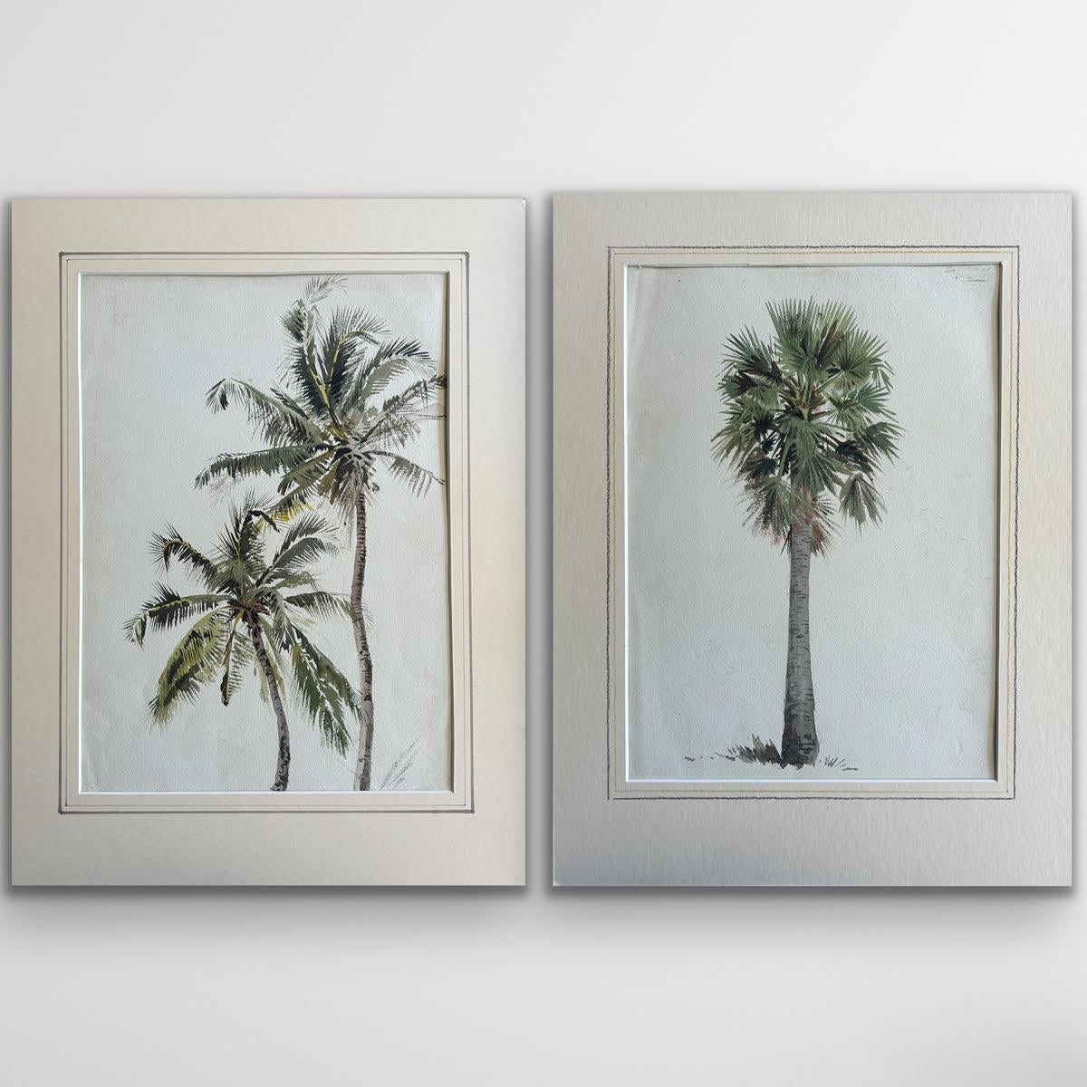 India 19th c British Landscape Listed Artist Alfred Crowdy Lovett Botanical Palm