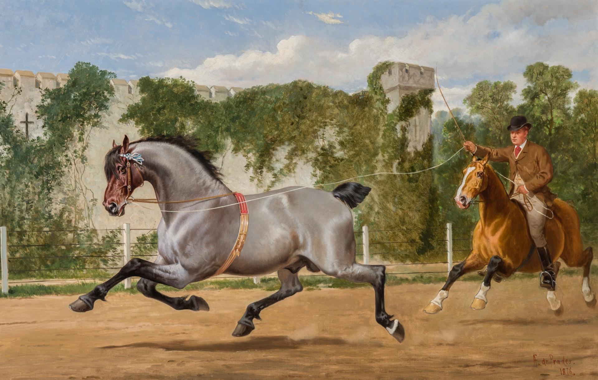 Alfred De Prades Animal Painting - A Young Windsor Grey