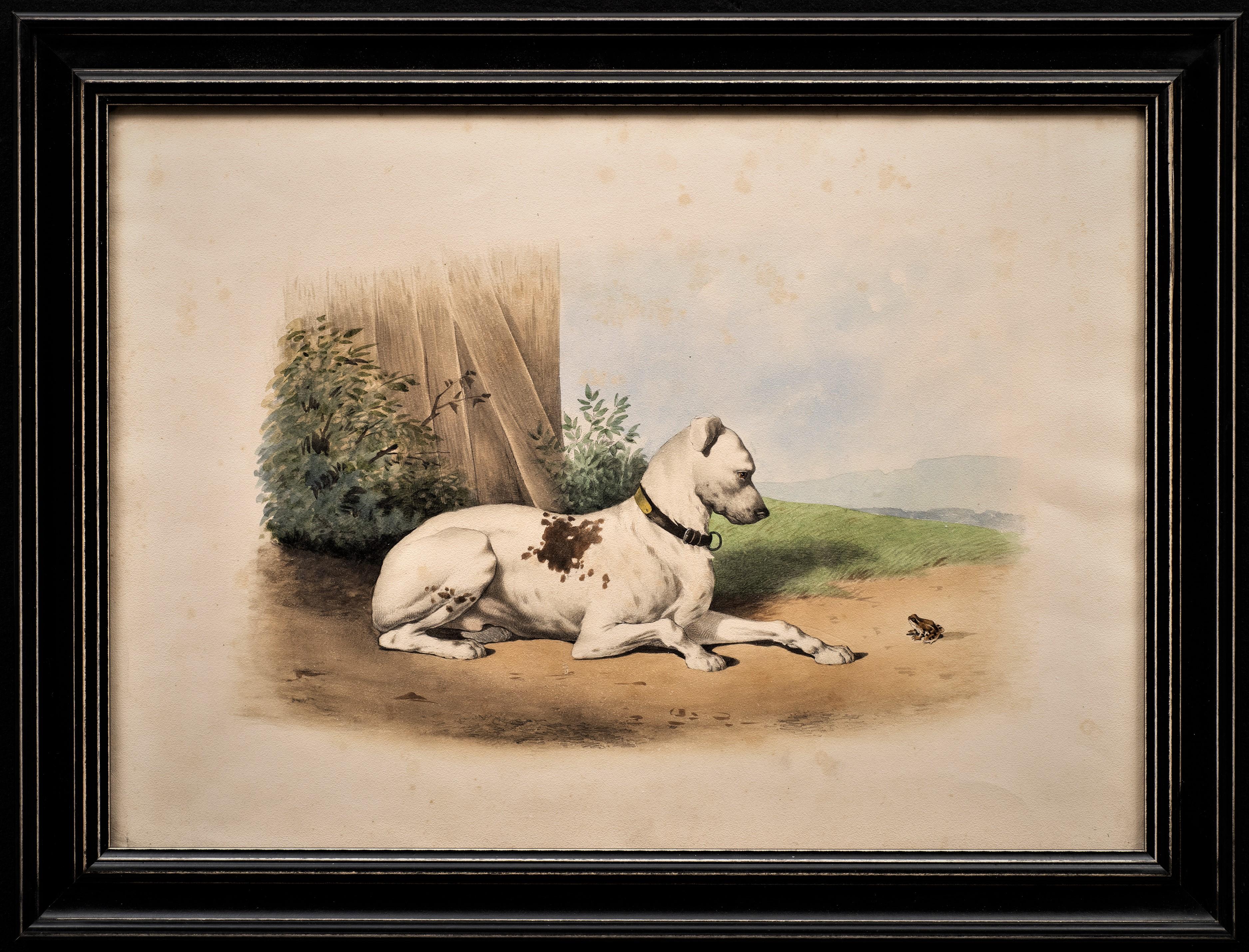 Antique Dog Lithograph Taste of Alfred De Dreux, France ca. 1870 Bulldog & Frog - Print de Alfred de Dreux