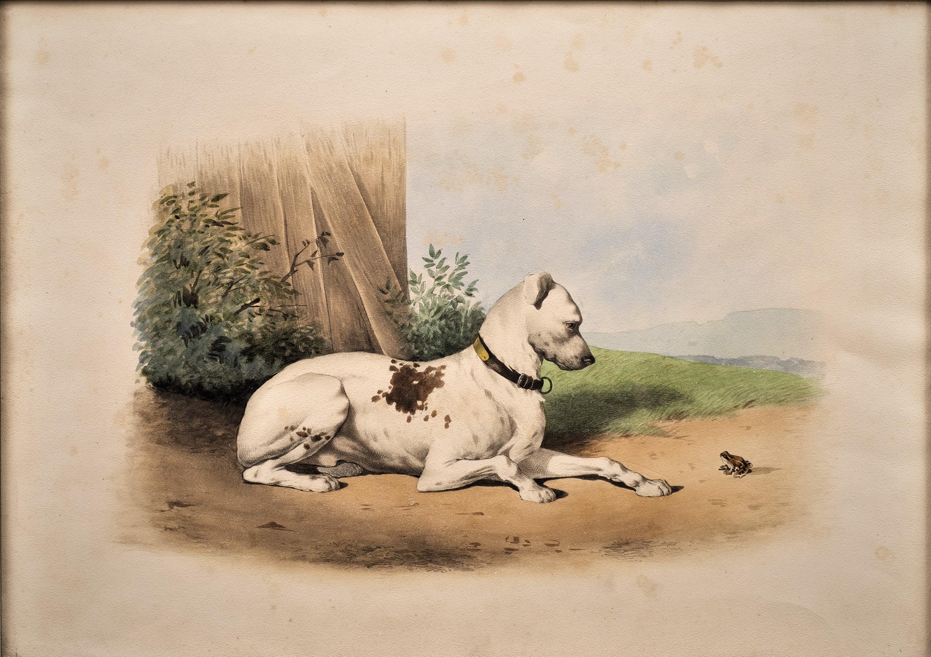 Antique Dog Lithograph Taste of Alfred De Dreux, France ca. 1870 Bulldog & Frog - Romantique Print par Alfred de Dreux