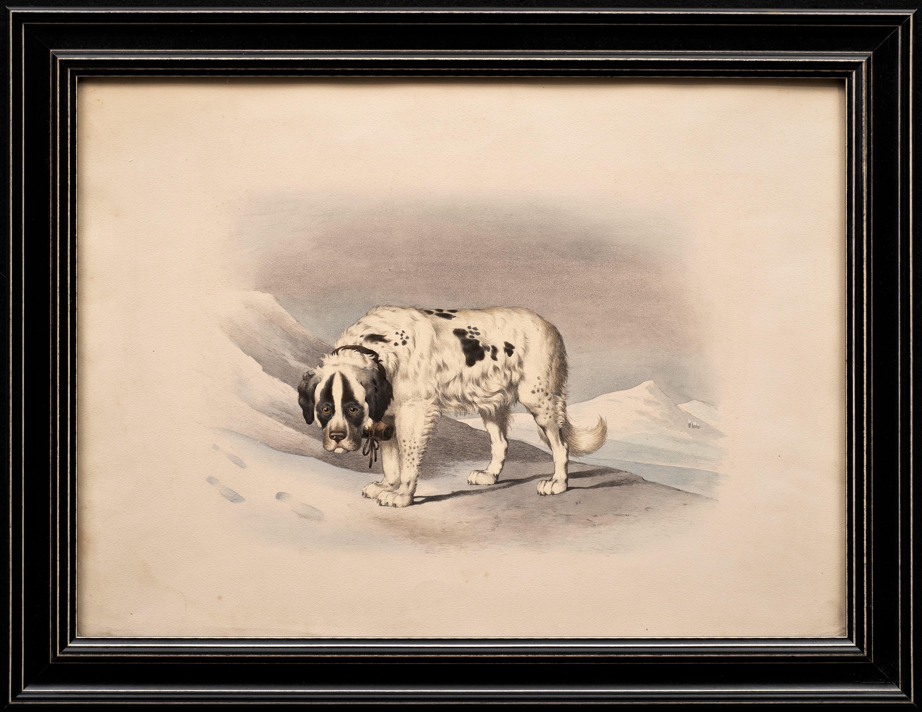Antica litografia di cani Gusto di Alfred de Dreux, Francia ca. 1870 San Bernardo A in vendita 1