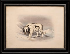 Antique Dog Lithograph Taste of Alfred De Dreux, France ca. 1870 Saint Bernard A