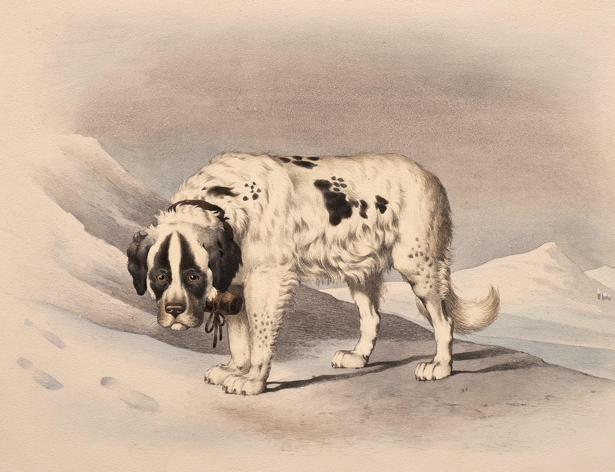 Antica litografia di cani Gusto di Alfred de Dreux, Francia ca. 1870 San Bernardo A in vendita 3