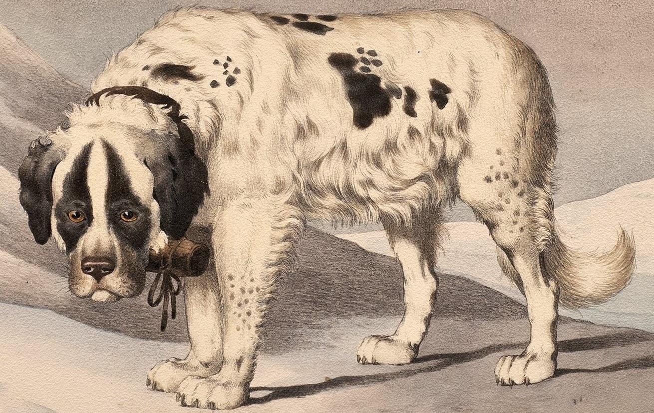 Antiguo Perro Litografía Sabor de Alfred de Dreux, Francia ca. 1870 San Bernardo A