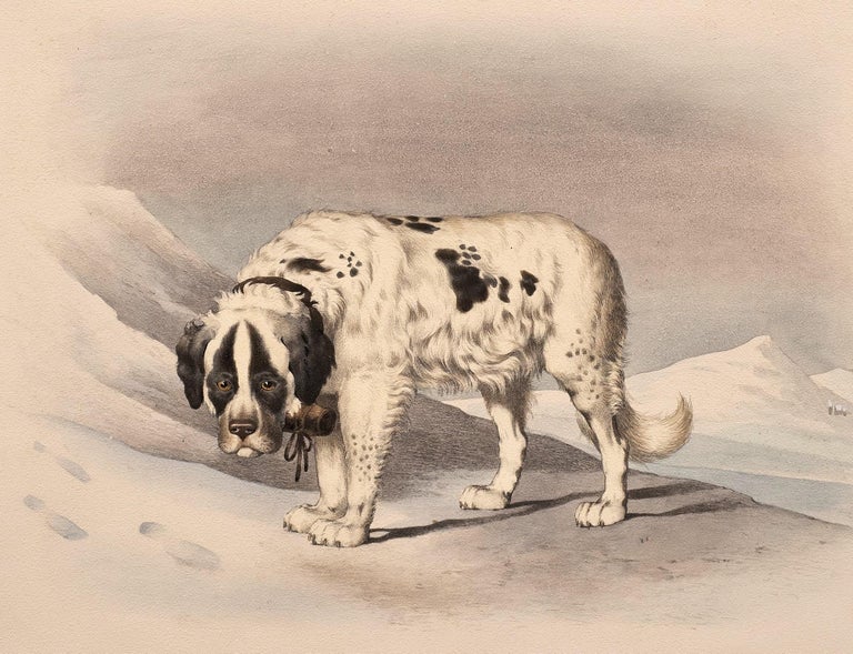 Dog Portrait Lithograph in the Taste of Alfred De Dreux, France circa 1870  For Sale at 1stDibs