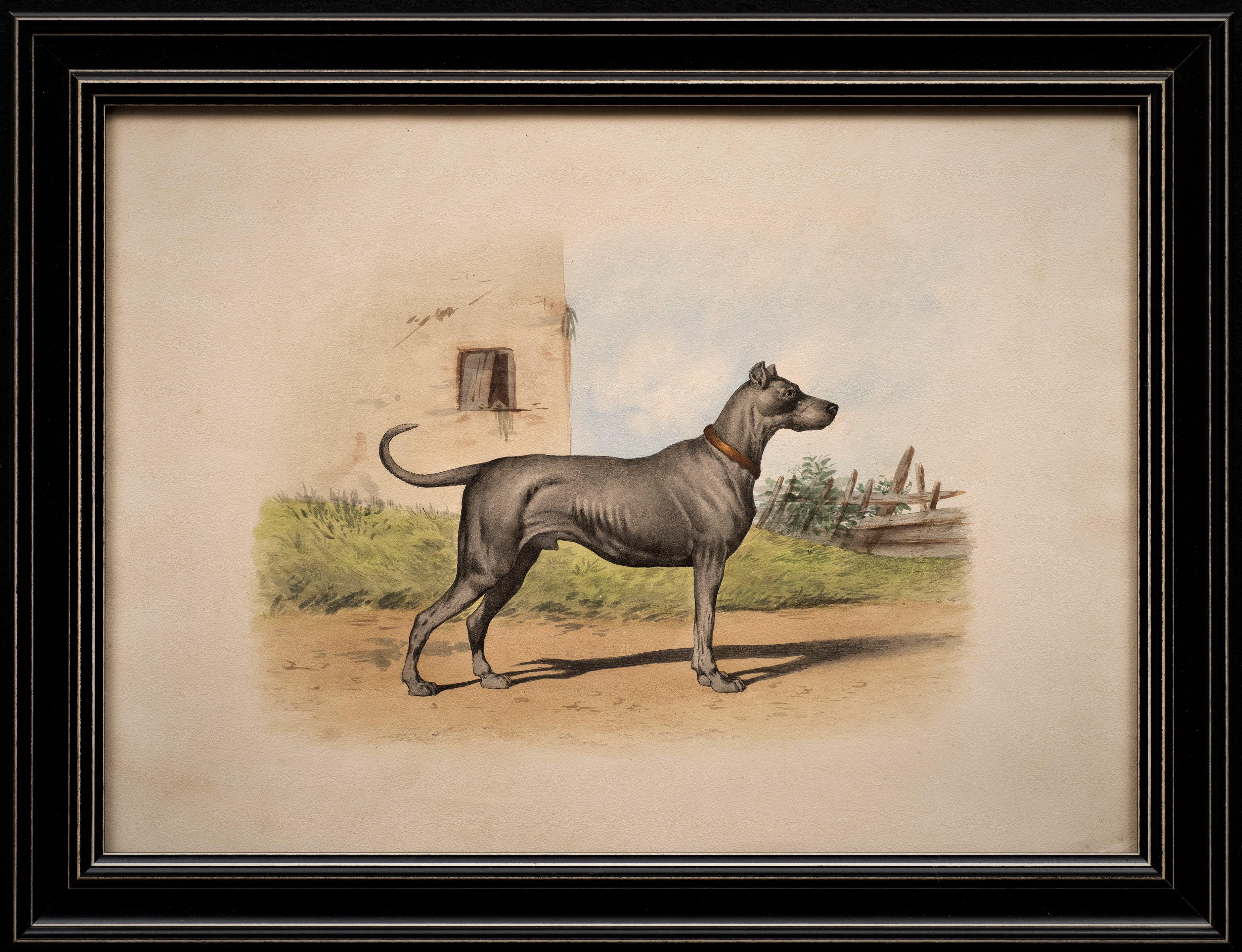 Antike Hundelithographie nach dem Geschmack von Alfred de Dreux, Frankreich um 1870 im Angebot 1