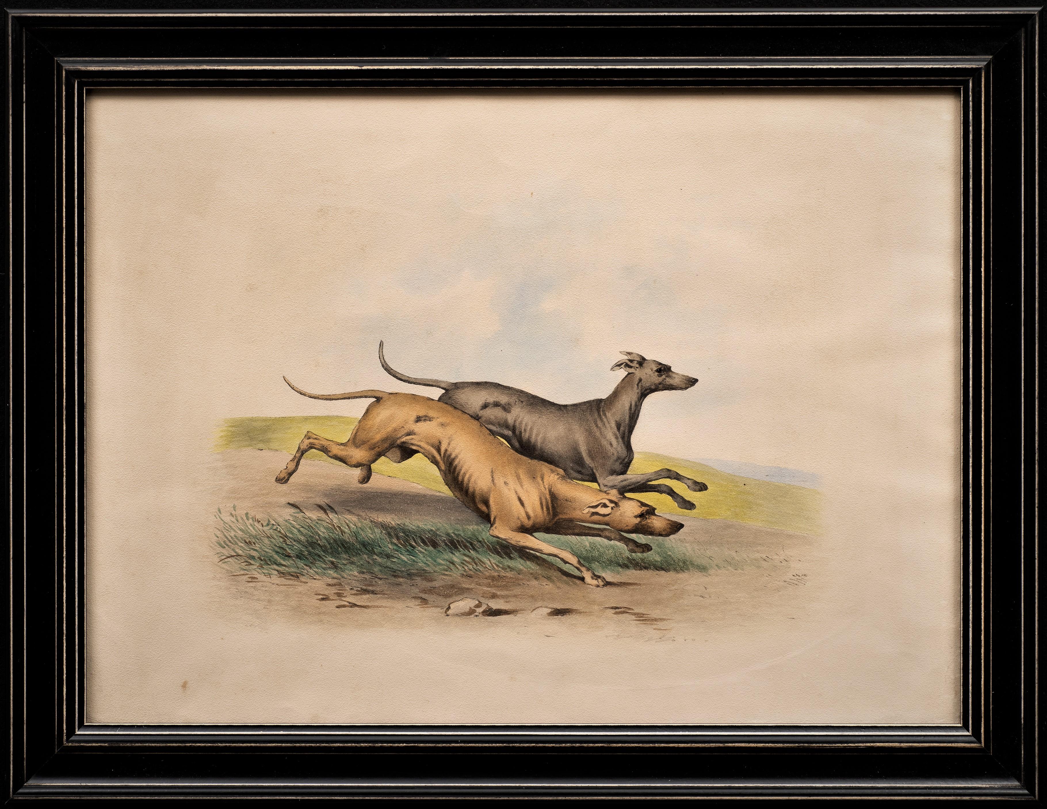 Portrait de chien ancien 
Lithographie dans le goût d'Alfred De Dreux
Bouledogue et grenouille
France, vers 1870 
Lithographie
25 5/8 x 19 5/8 (28 x 20 cadre) pouces

Six lithographies de portraits de chiens.

Chaque portrait de chien est très