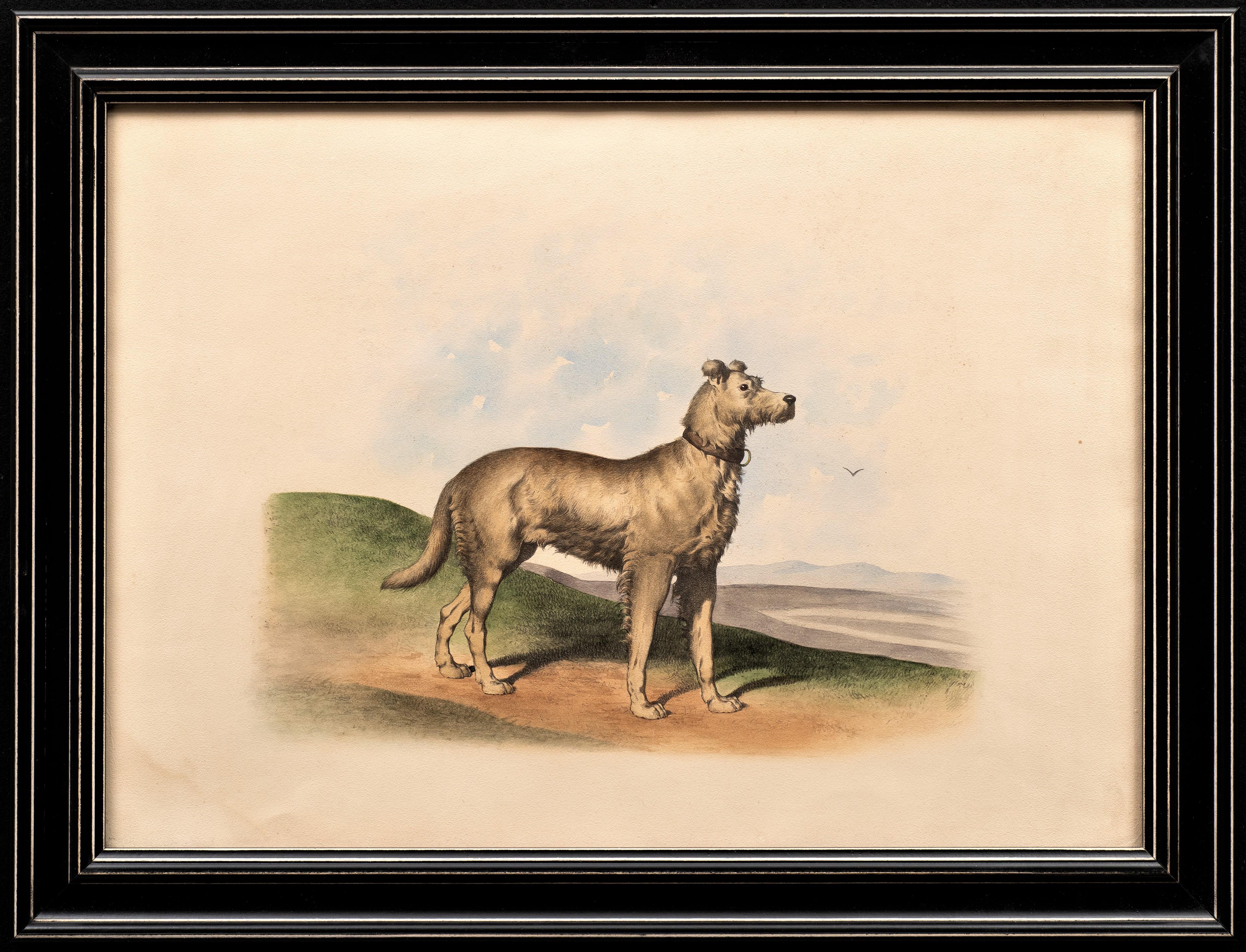 Lithographie ancienne d'un chien dans le goût d'Alfred de Dreux, France circa 1870 D. en vente 1