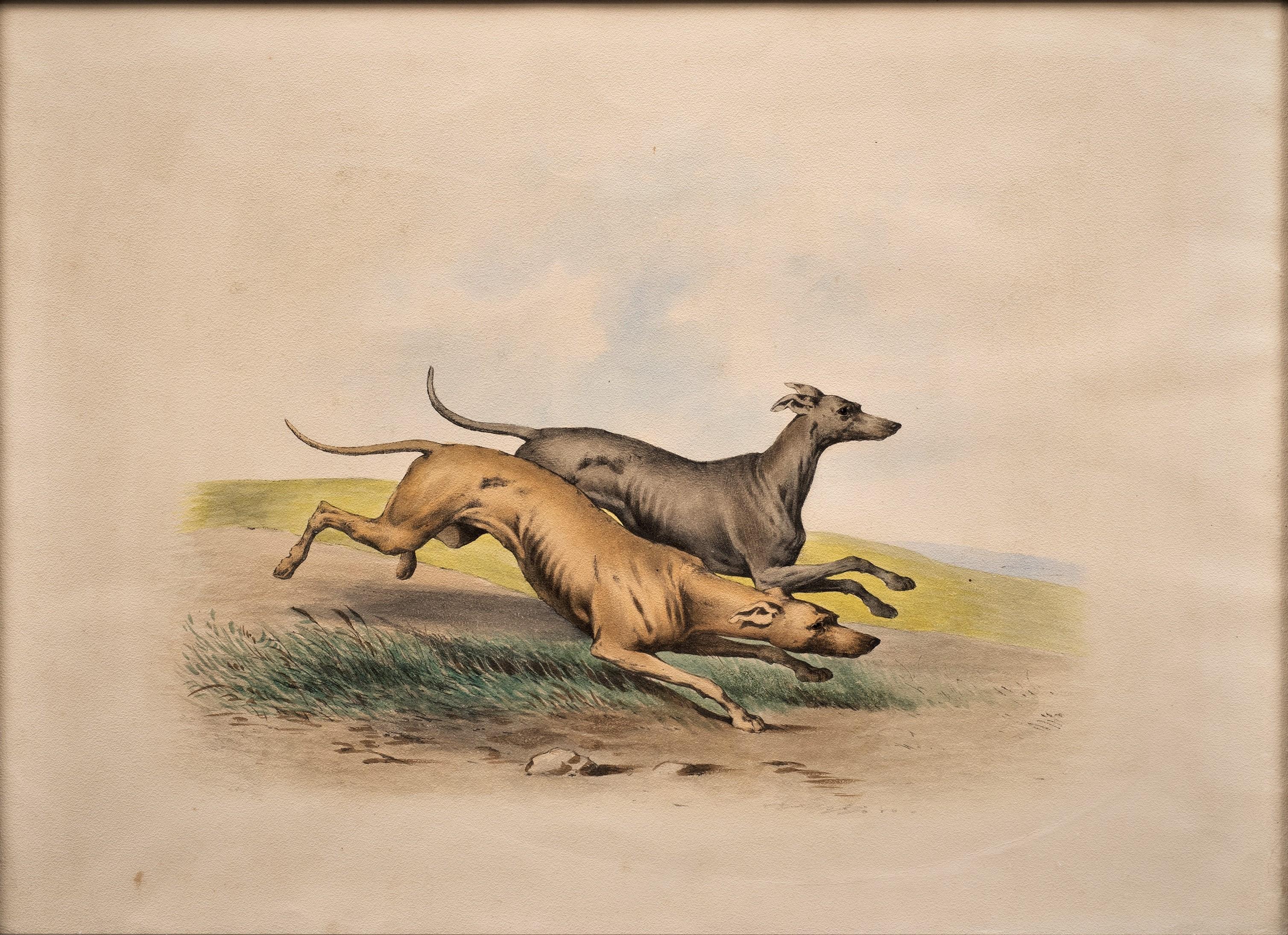 Antique Dog Lithograph, Taste of Alfred De Dreux, France circa 1870 Greyhounds D - Romantic Print by Alfred de Dreux