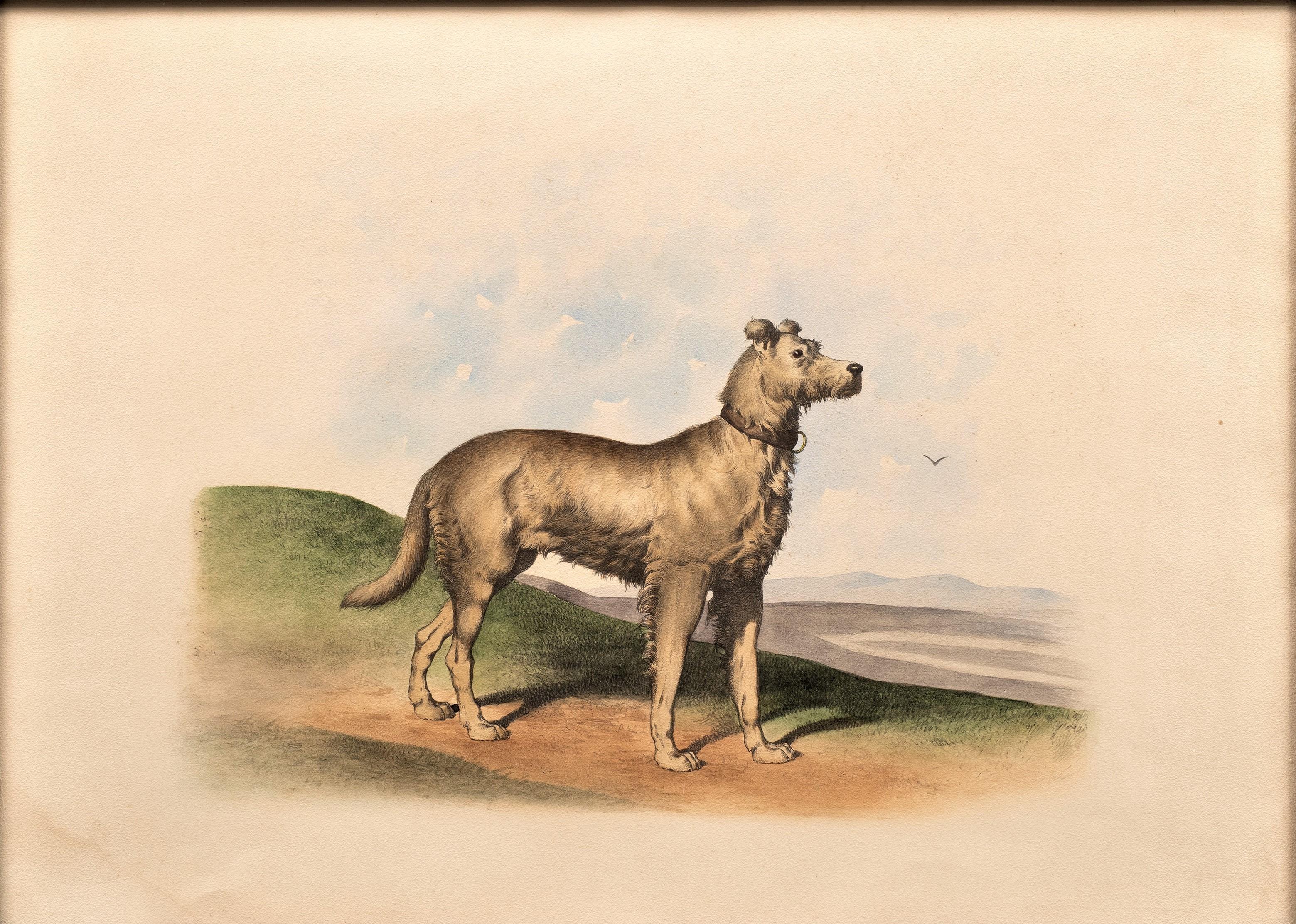 Antique Dog Lithograph in the Taste of Alfred De Dreux, France circa 1870 D - Romantic Print by Alfred de Dreux