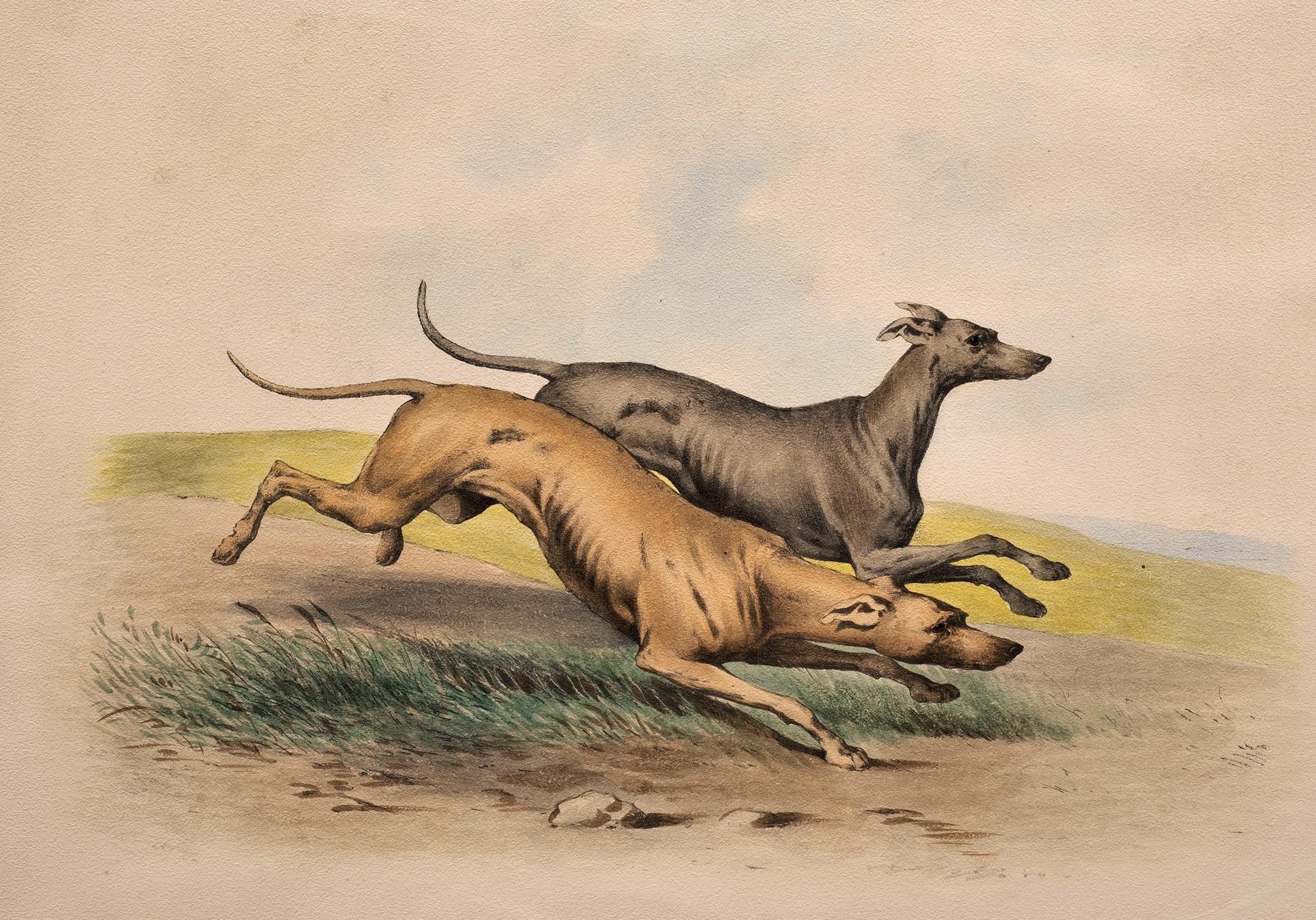 Antique Dog Lithograph in the Taste of Alfred De Dreux, France circa 1870 - Brown Animal Print by Alfred de Dreux