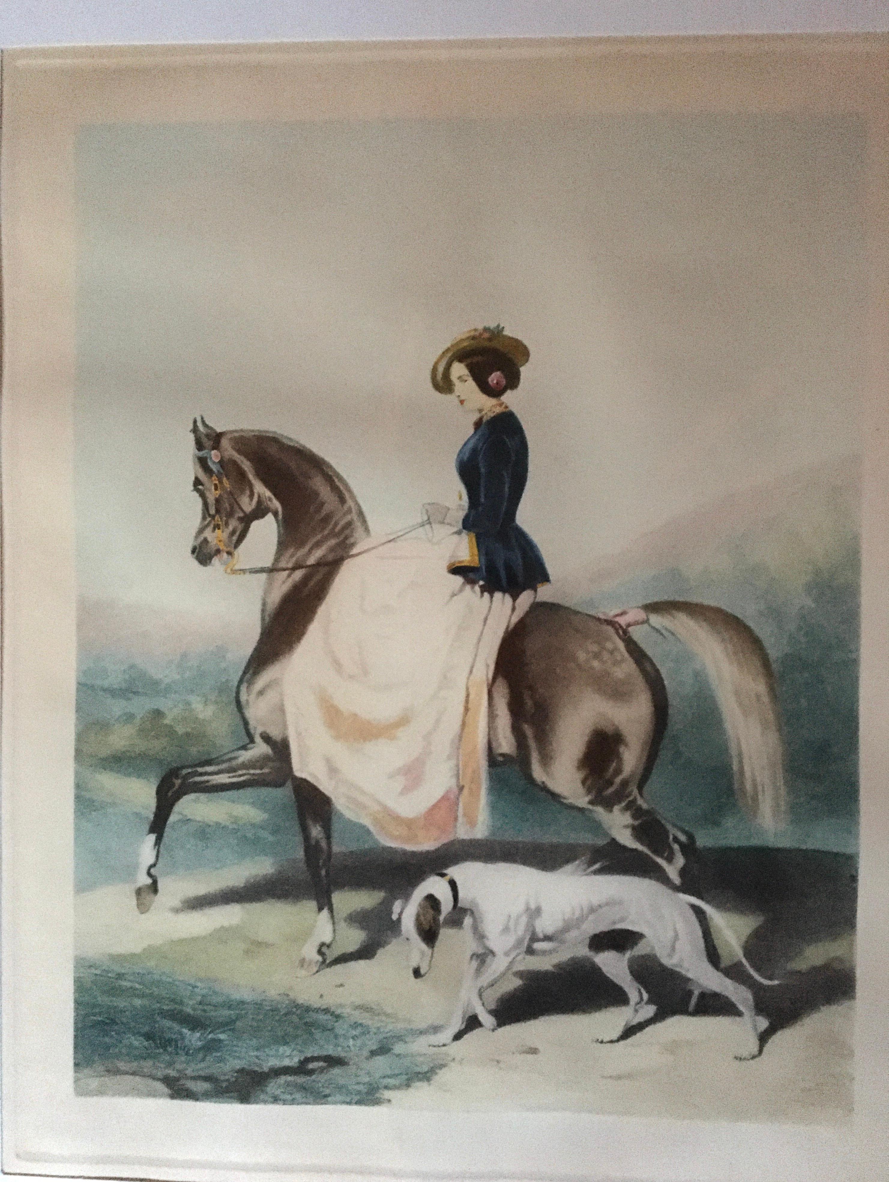 The Horsewoman and her Greyhound - Romantic Print by Alfred de Dreux