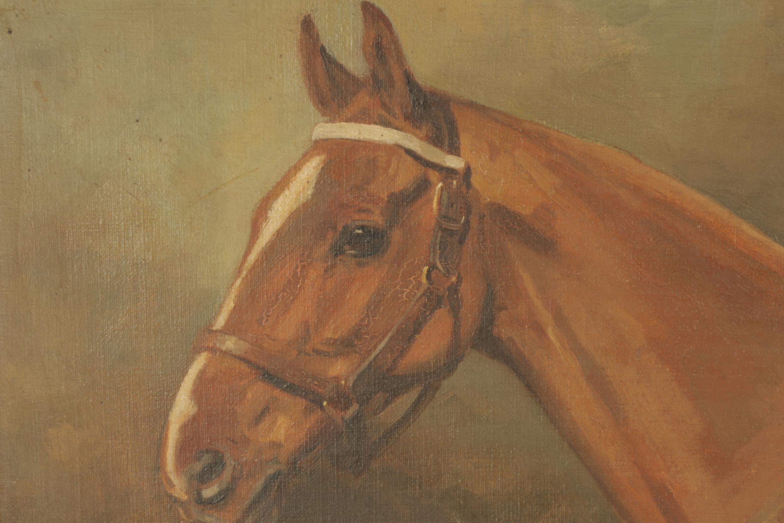 Fino Retrato de Caballo Inglés Firmado Pintura al Óleo Antigua Listado Artista Deportivo - Painting de Alfred G Haigh 