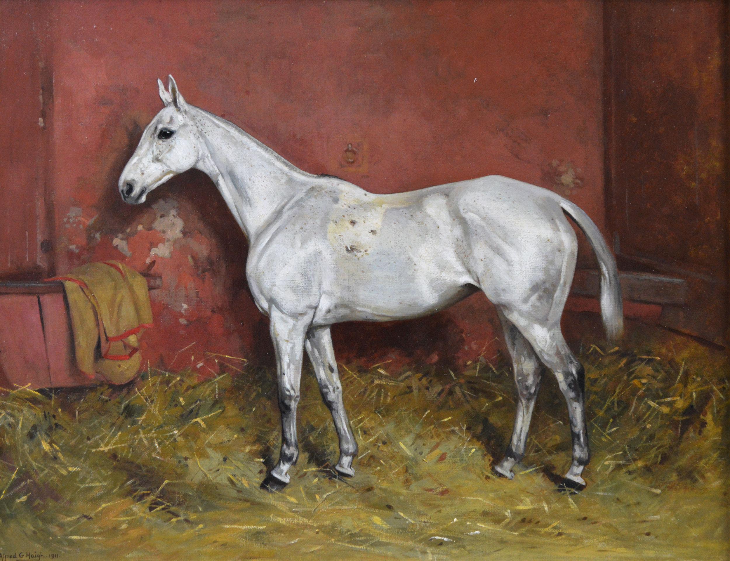 Sporting horse portrait oil painting of a fleabitten mare in a stable - Painting by Alfred Grenfell Haigh