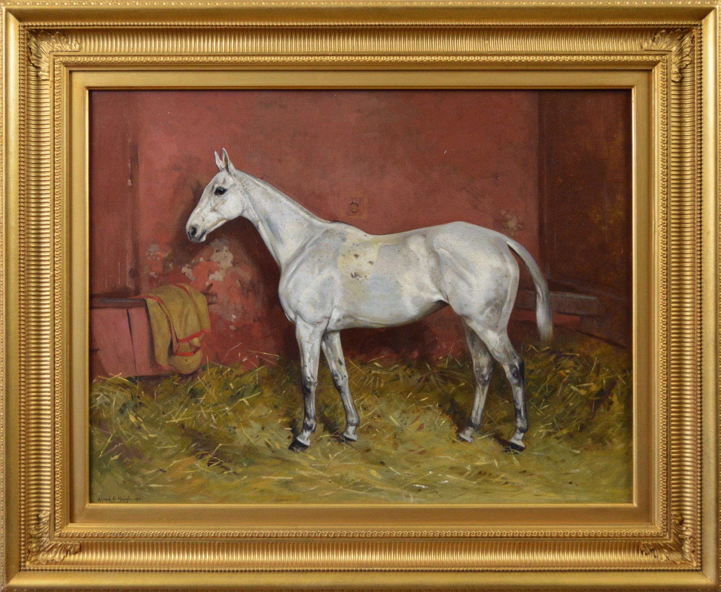 Alfred Grenfell Haigh Animal Painting - Sporting horse portrait oil painting of a fleabitten mare in a stable