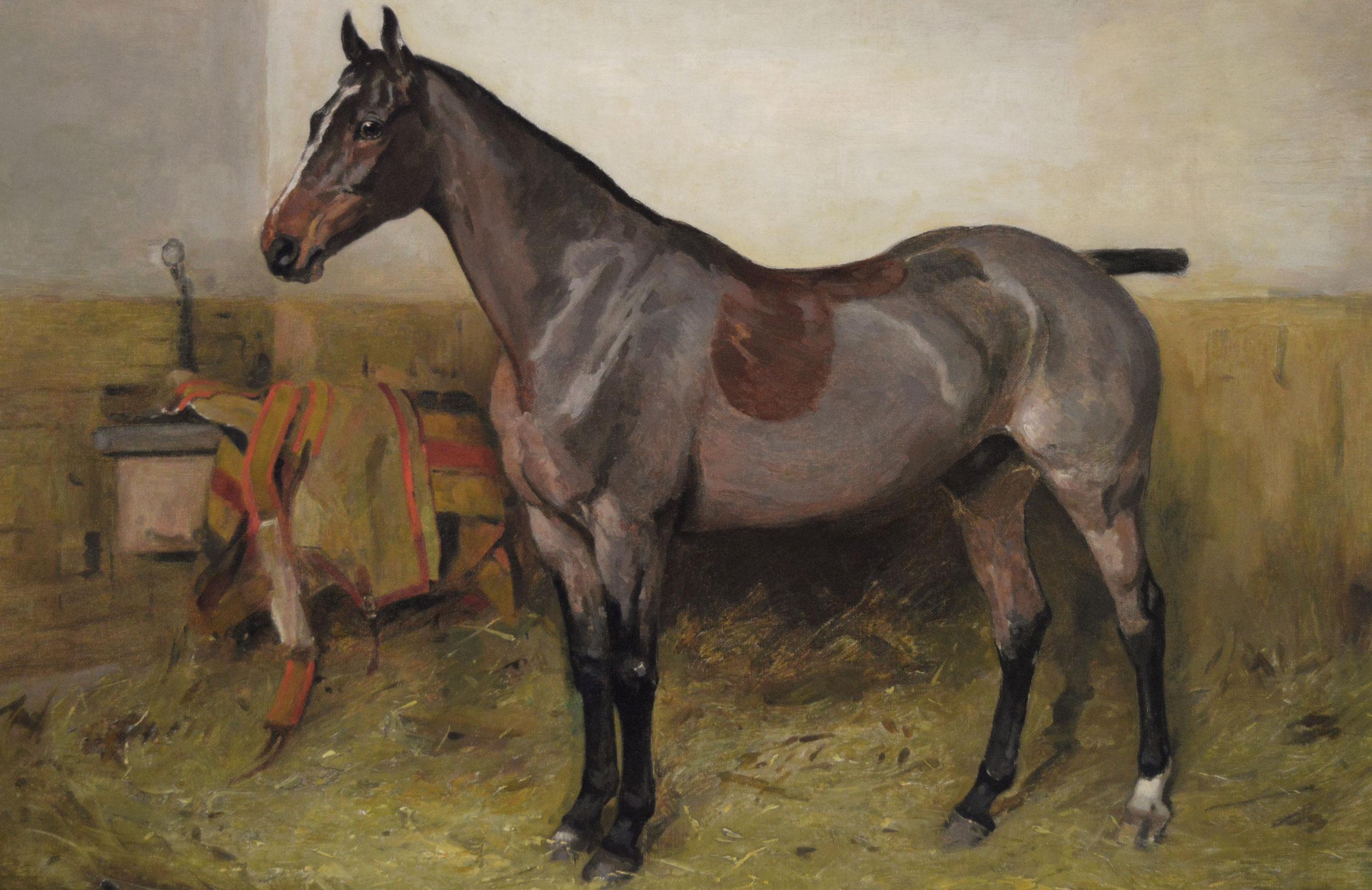 Sporting horse portrait oil painting of bay hunter in a stable - Brown Animal Painting by Alfred Grenfell Haigh