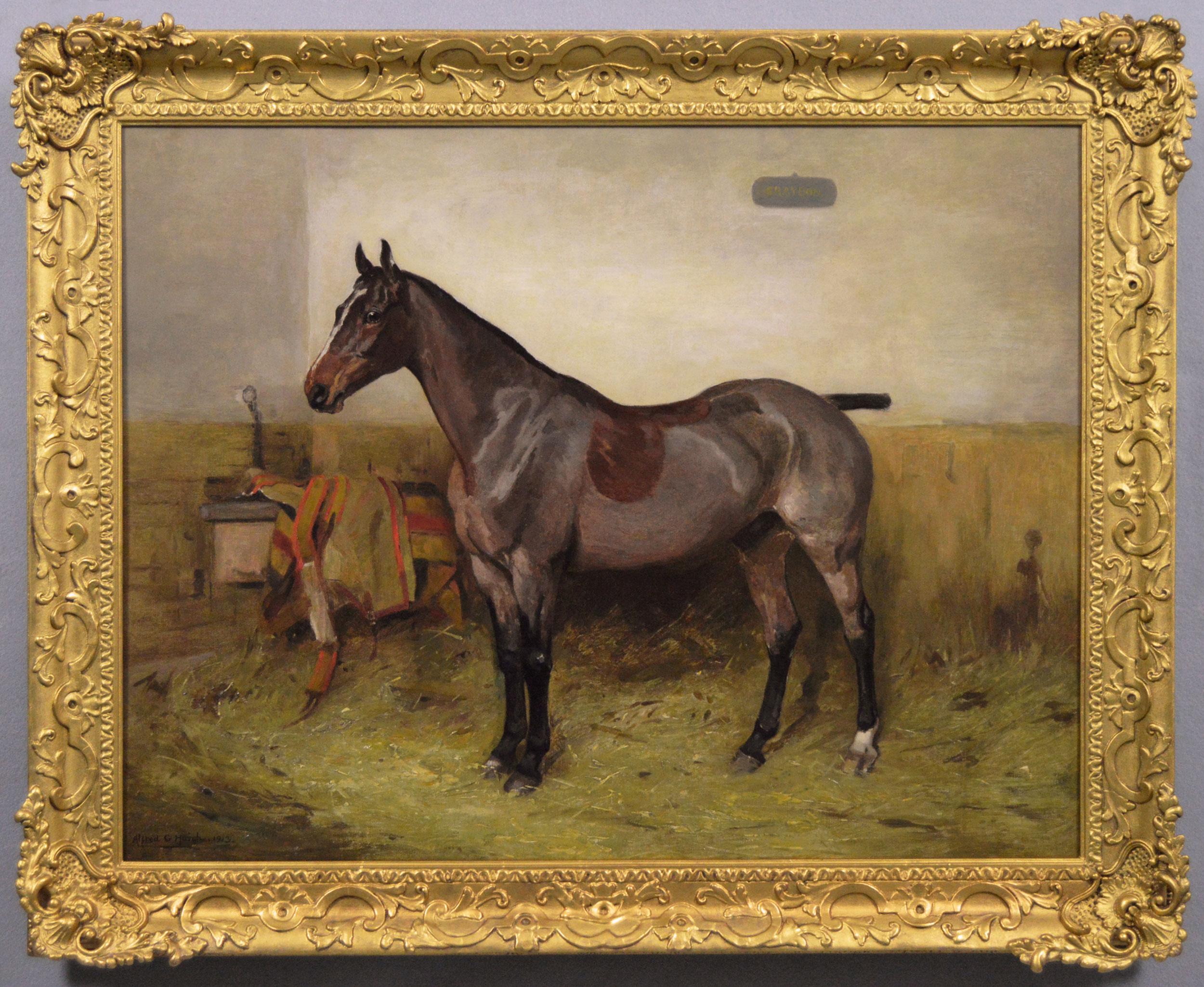 Alfred Grenfell Haigh Animal Painting - Sporting horse portrait oil painting of bay hunter in a stable