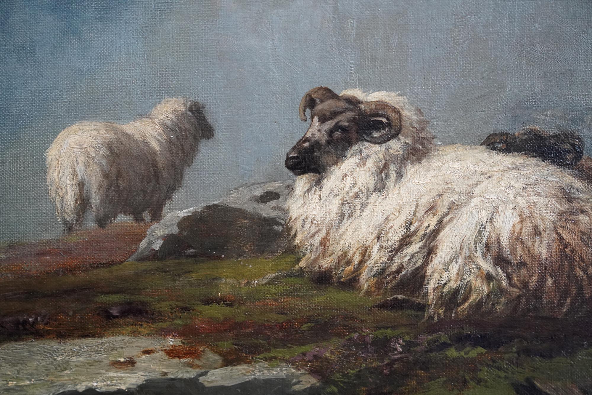 This stunning exhibited British Victorian oil painting is by noted animal artist Alfred Grey, brother of Edwin Lanseer Grey. Grey was a prolific exhibitor and he exhibited over 400 works at The Royal Hibernian Academy. This was painted in 1885 and