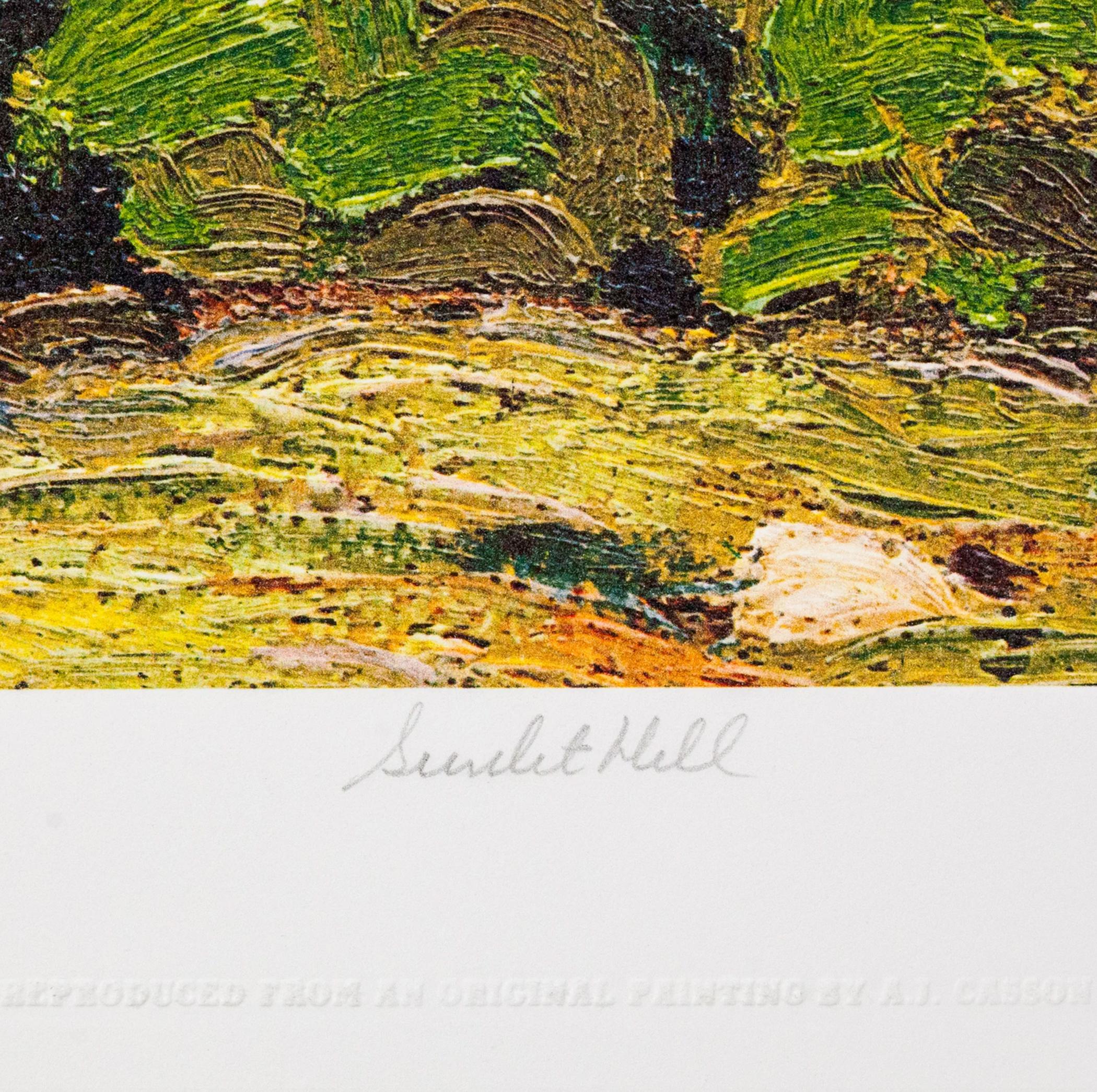 Sunlit Hill For Sale 1