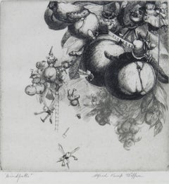 Vintage Windfalls Engraving by Alfred Kemp Wiffen 