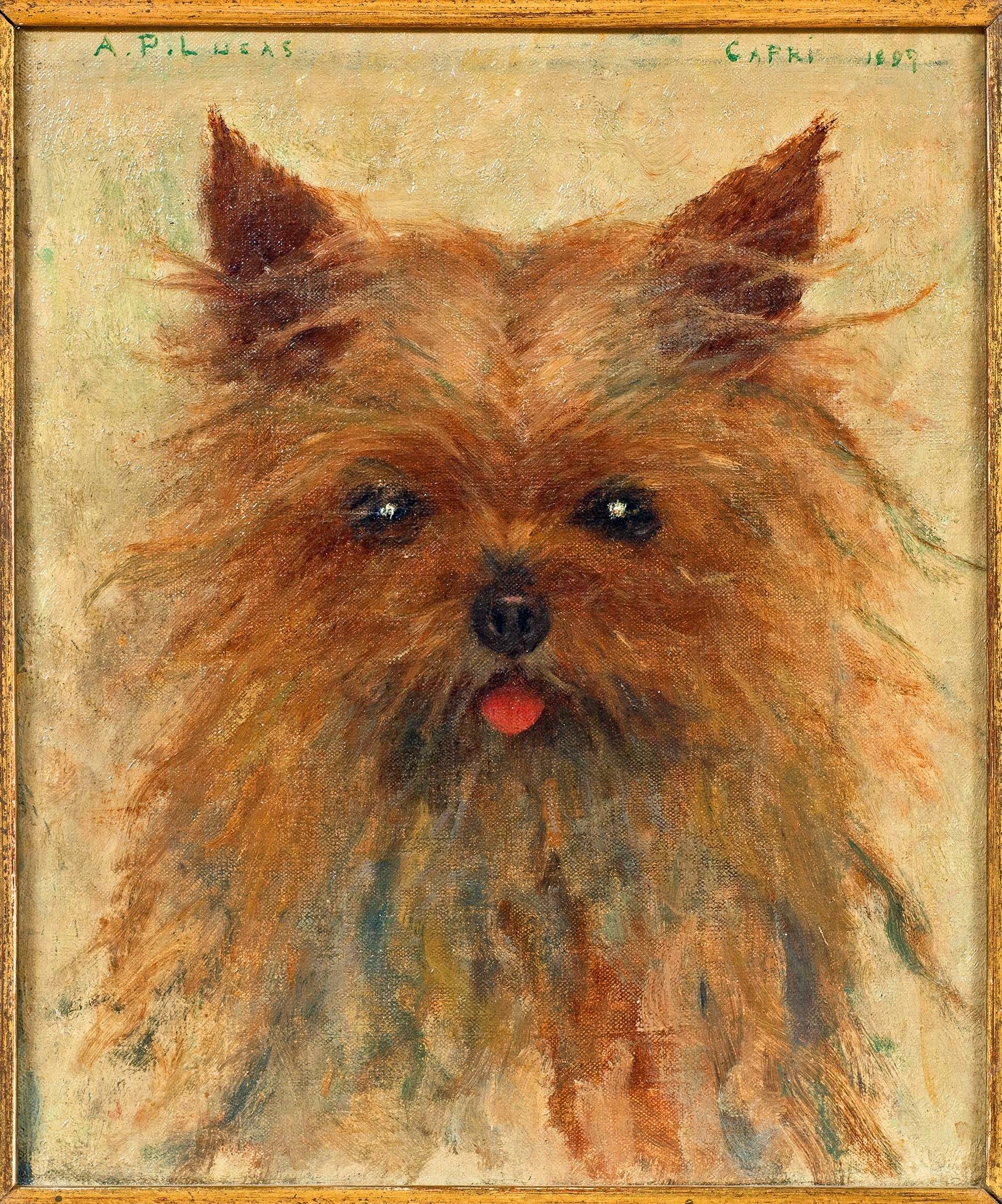 Dog Portrait of a Yorkshire Terrier - Painting by Alfred Lucas