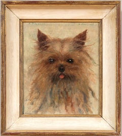 Dog Portrait of a Yorkshire Terrier