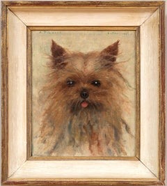 Dog Portrait of a Yorkshire Terrier 